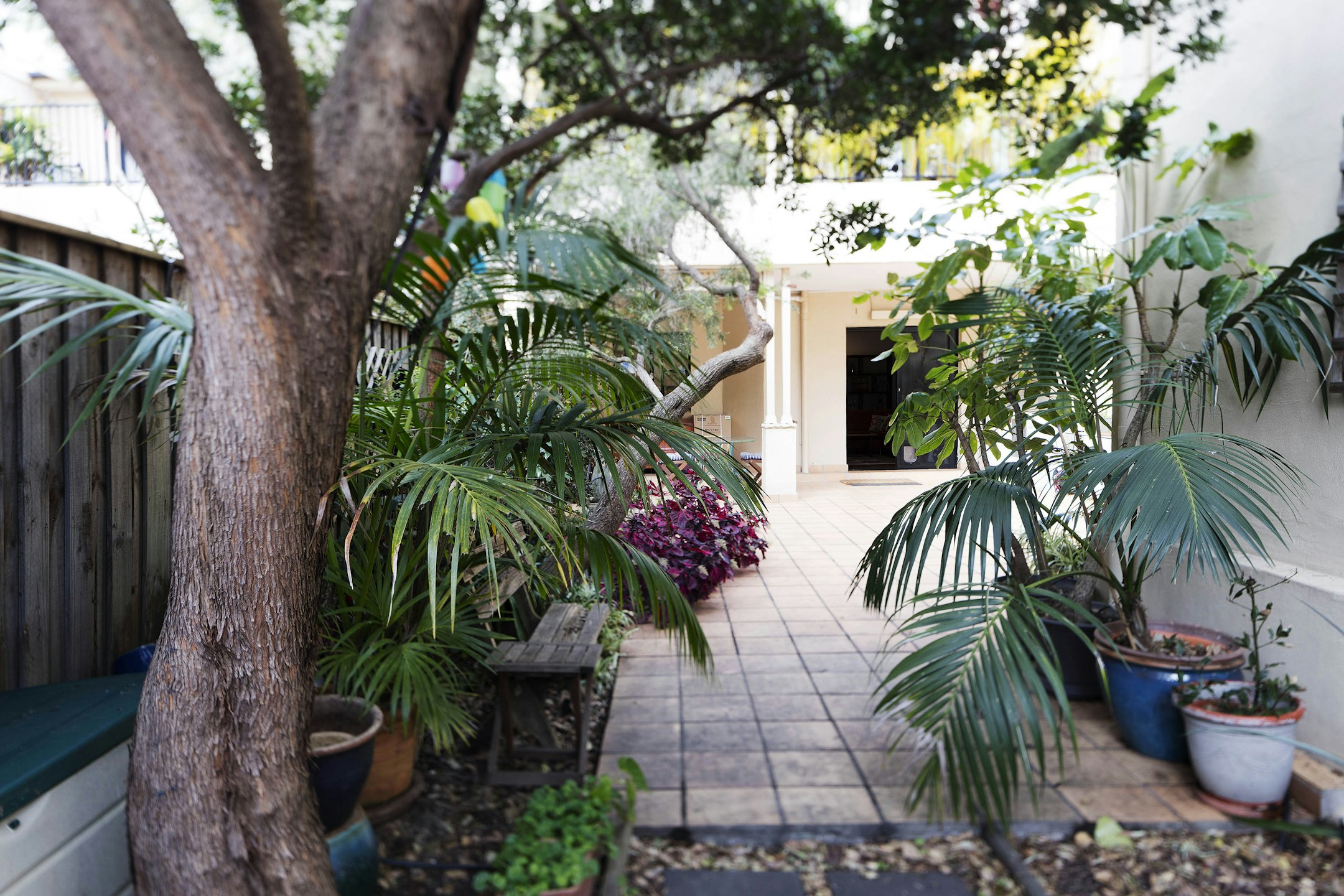 garden