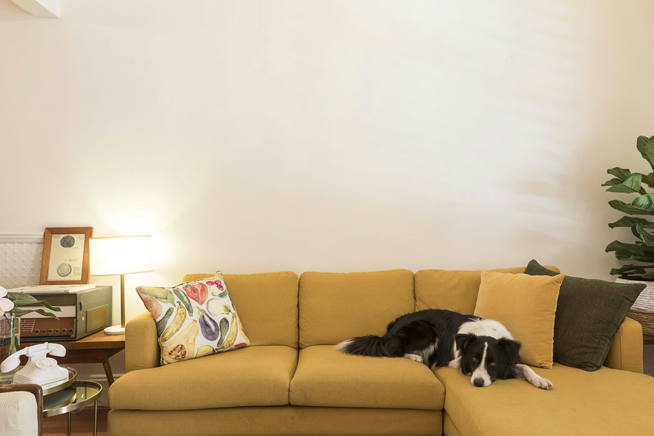 couch