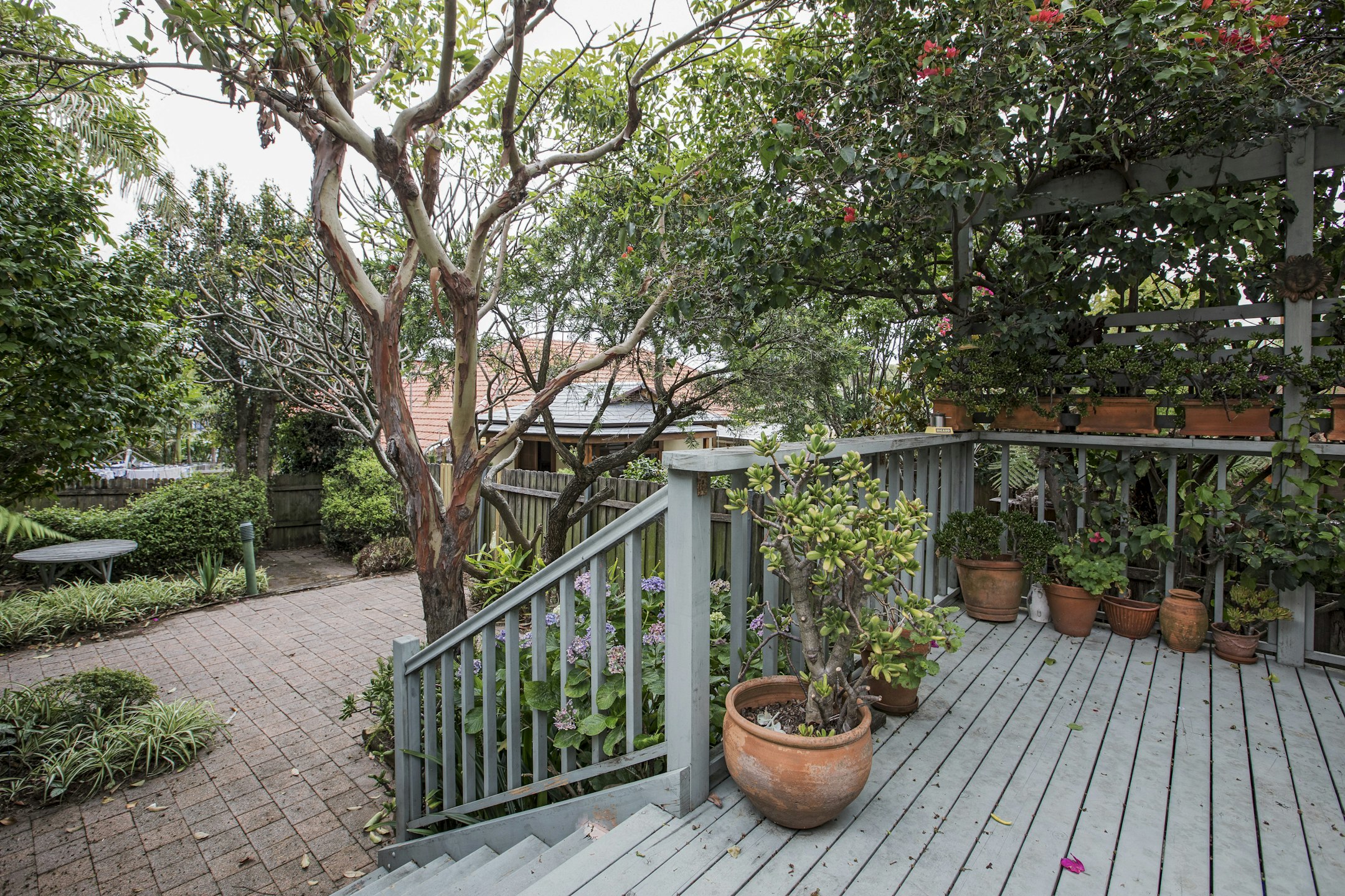 garden