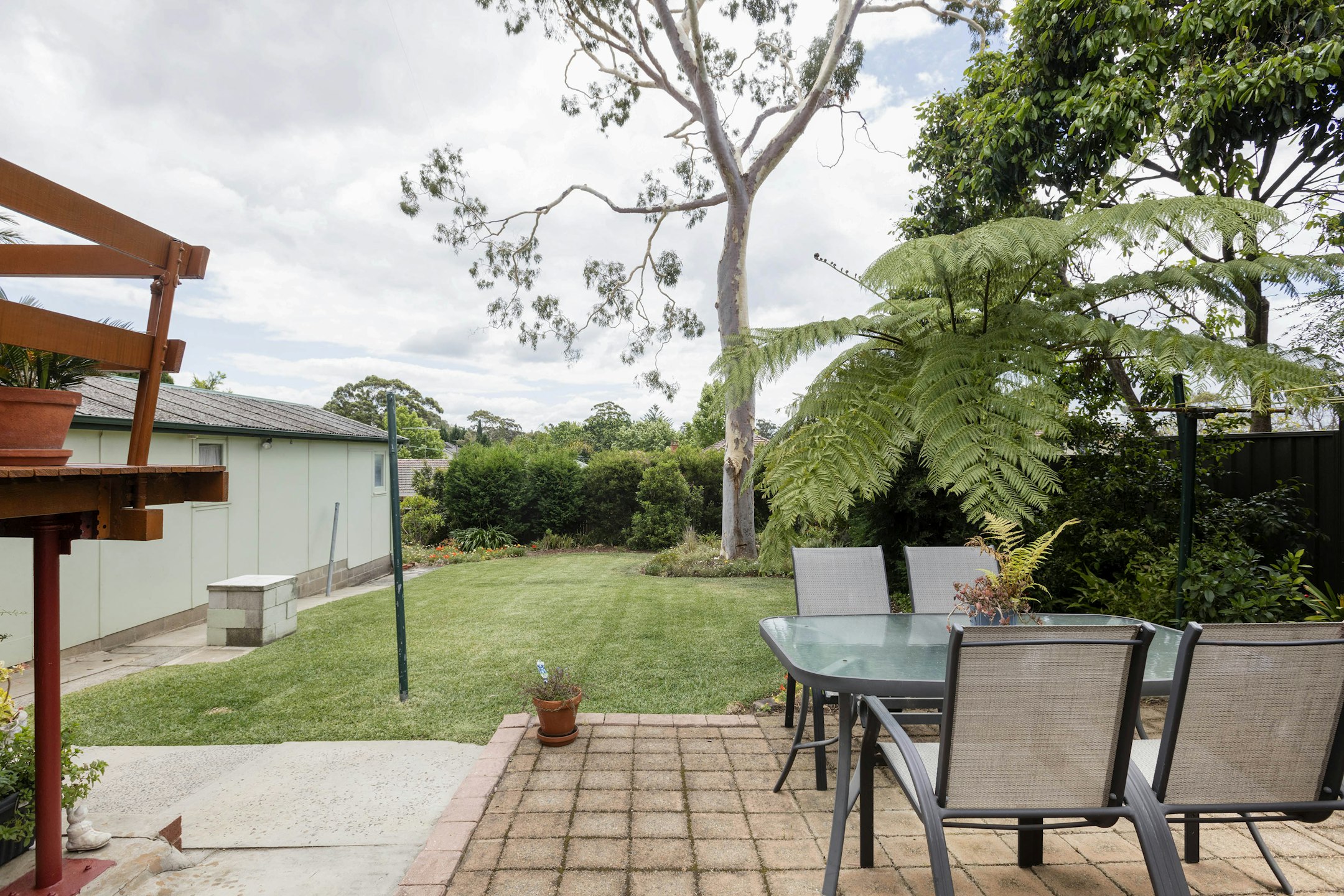 backyard