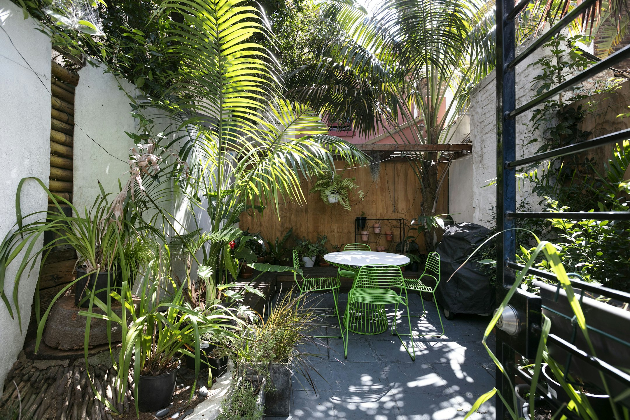 garden