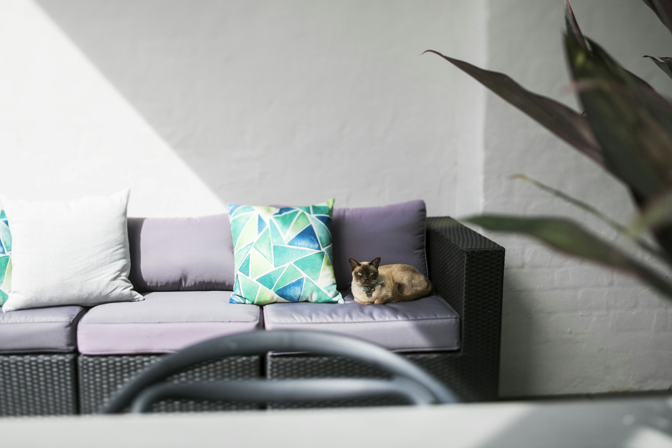 couch