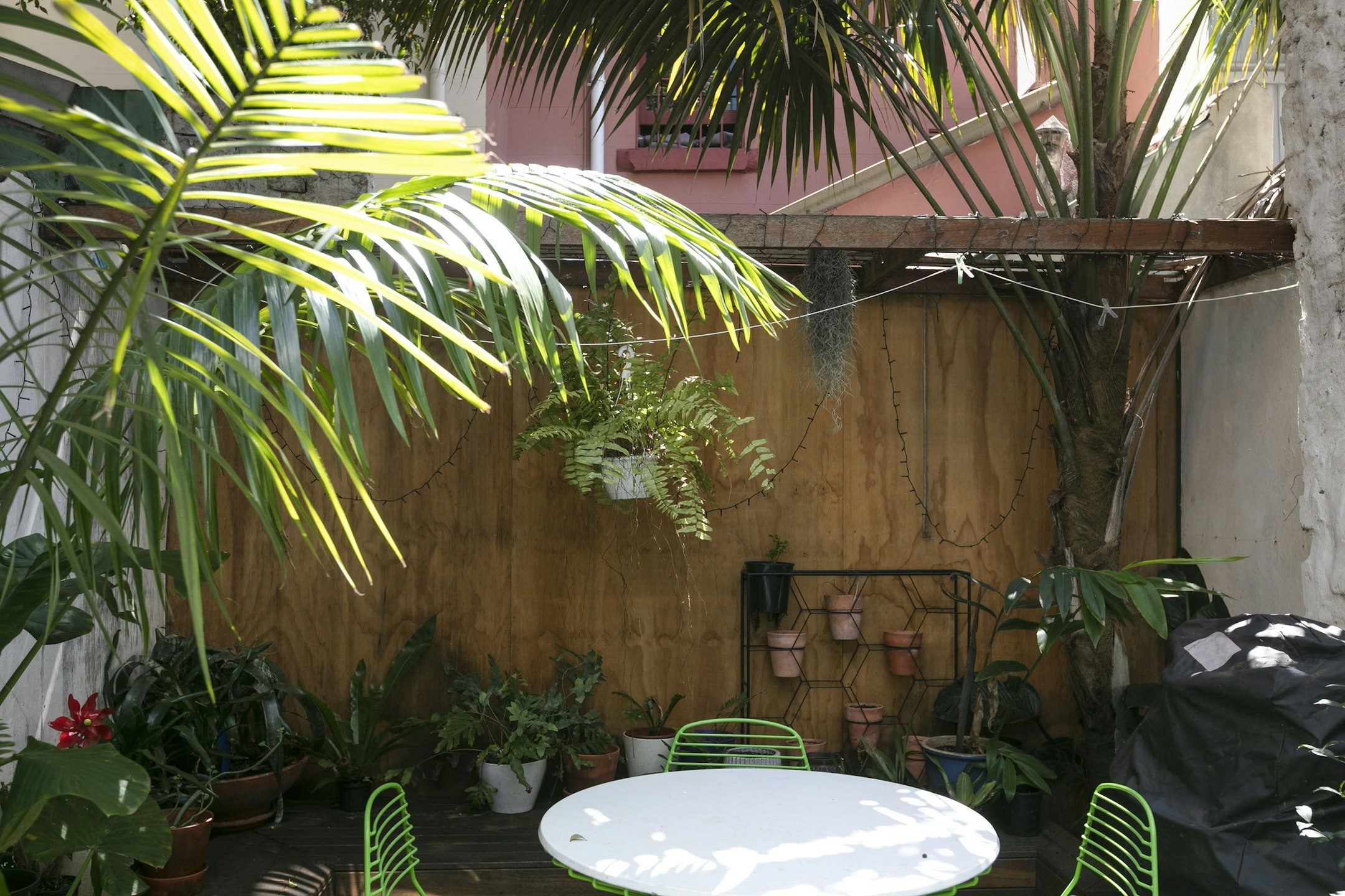 garden