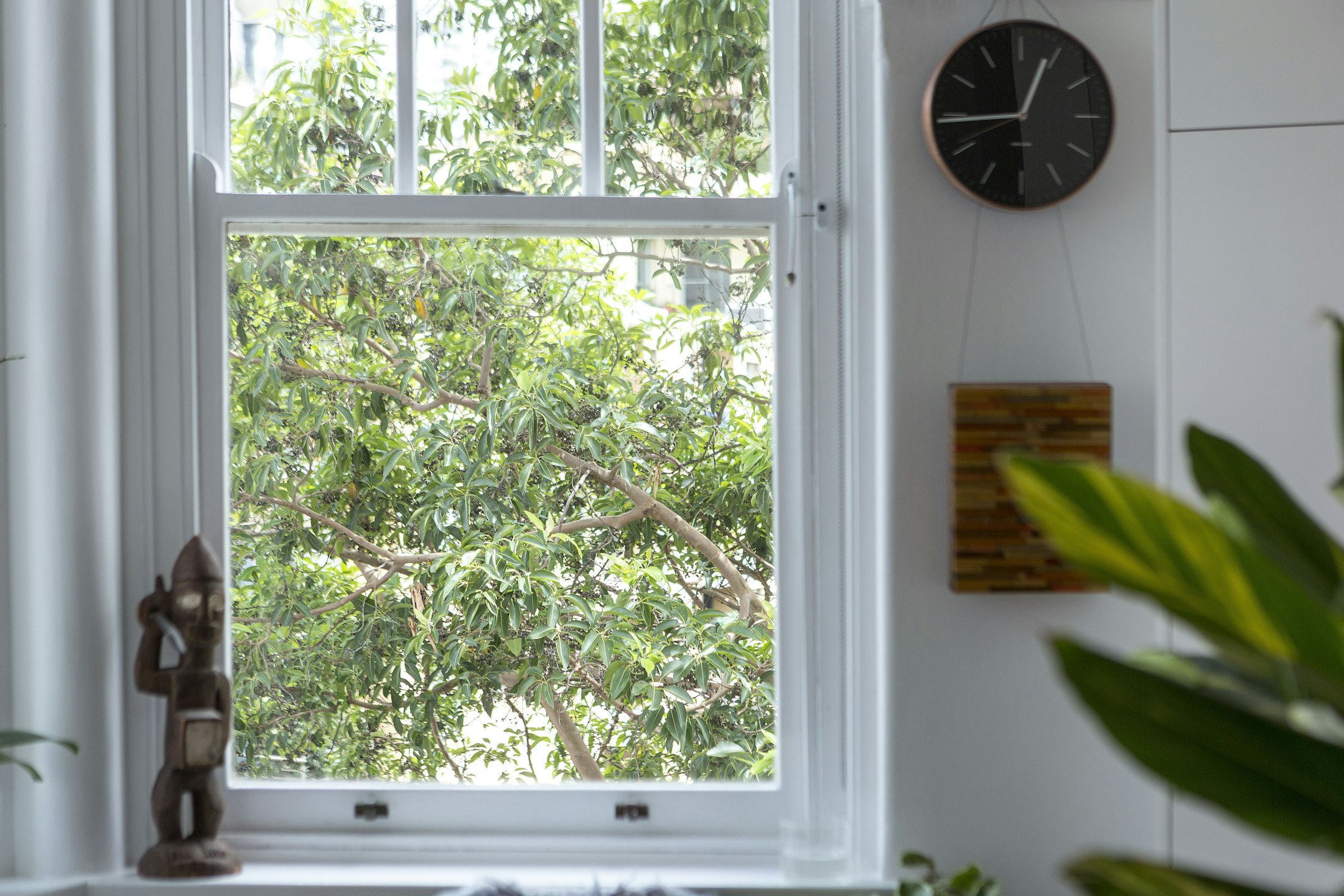 window