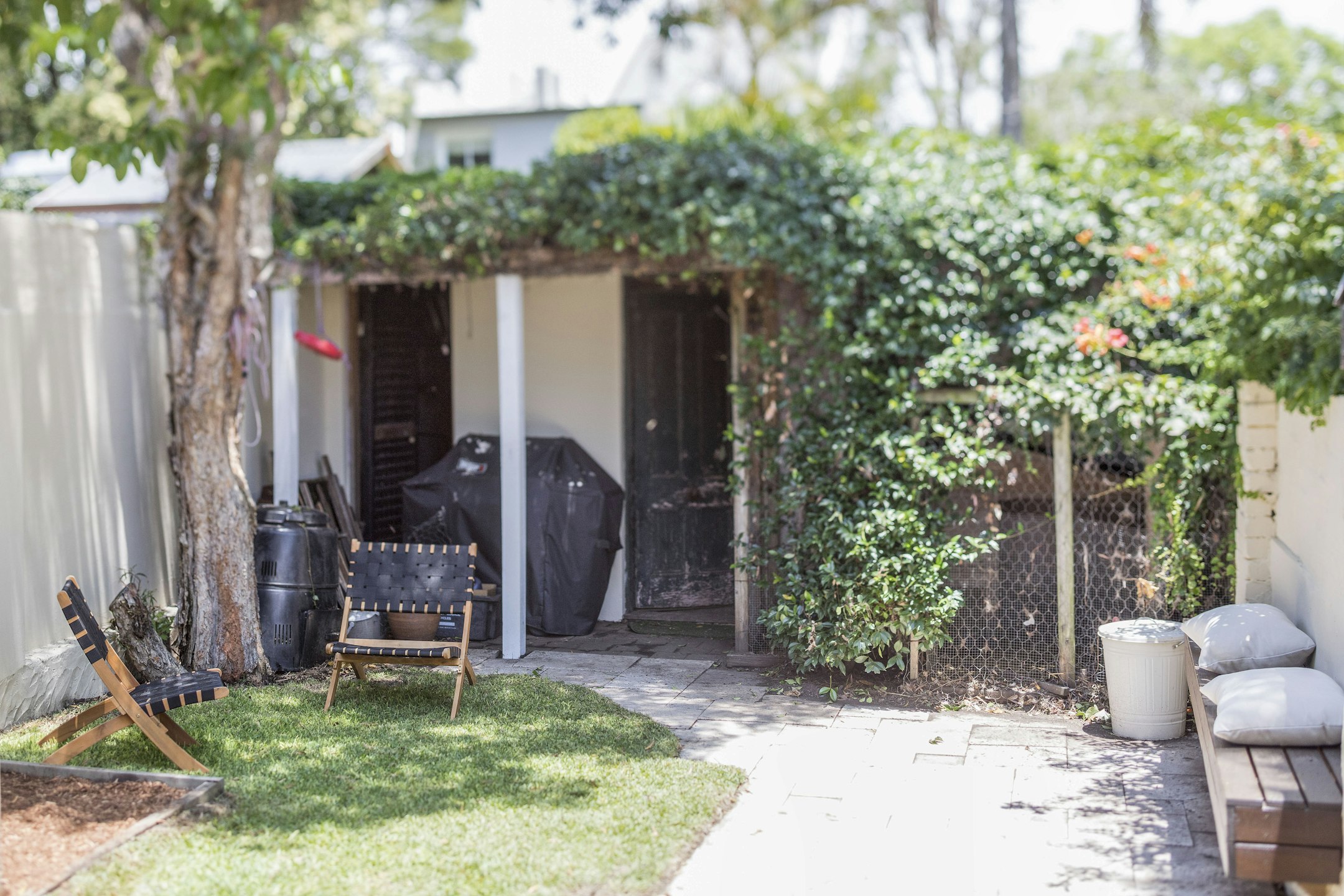 backyard