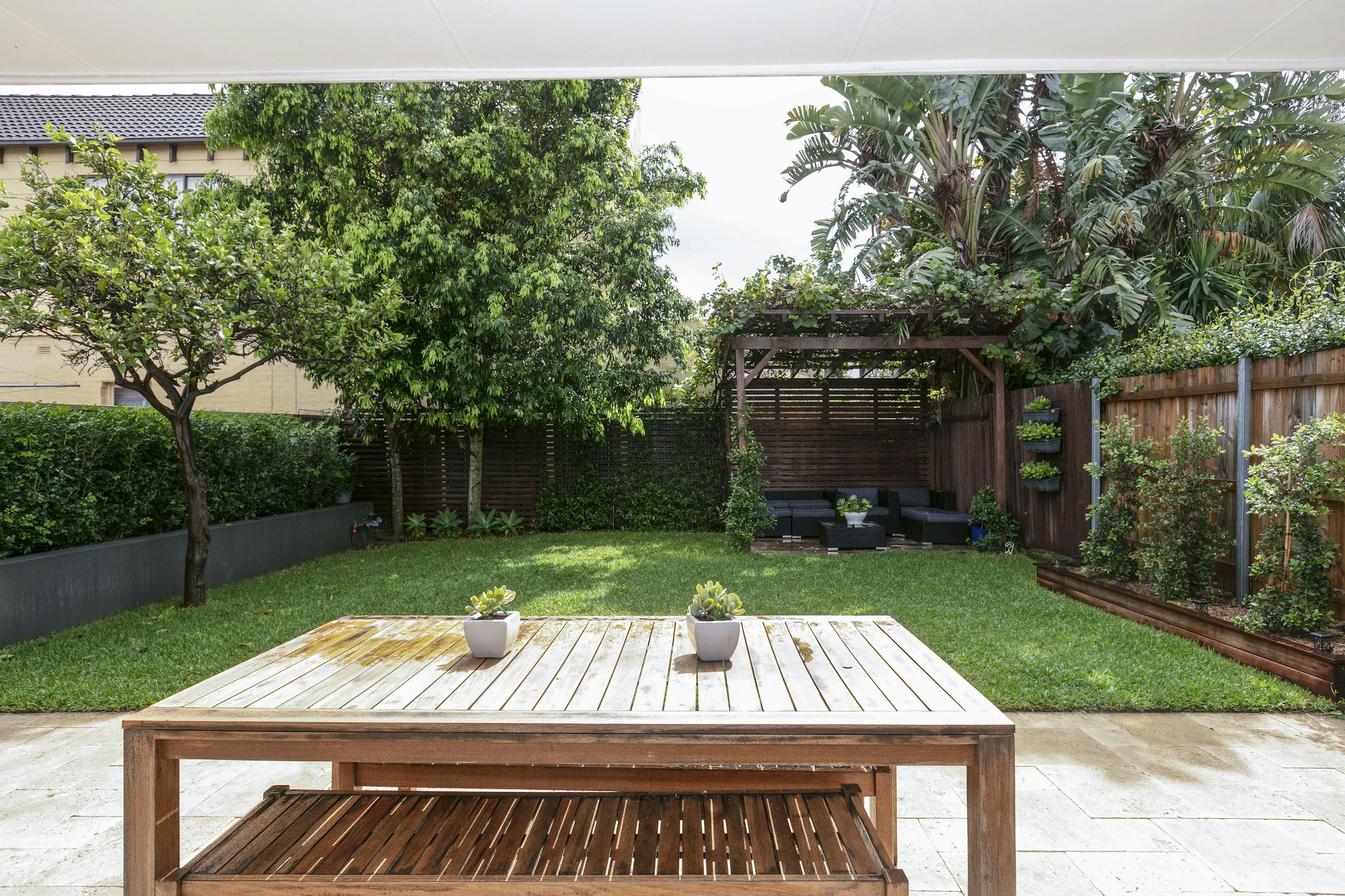 backyard