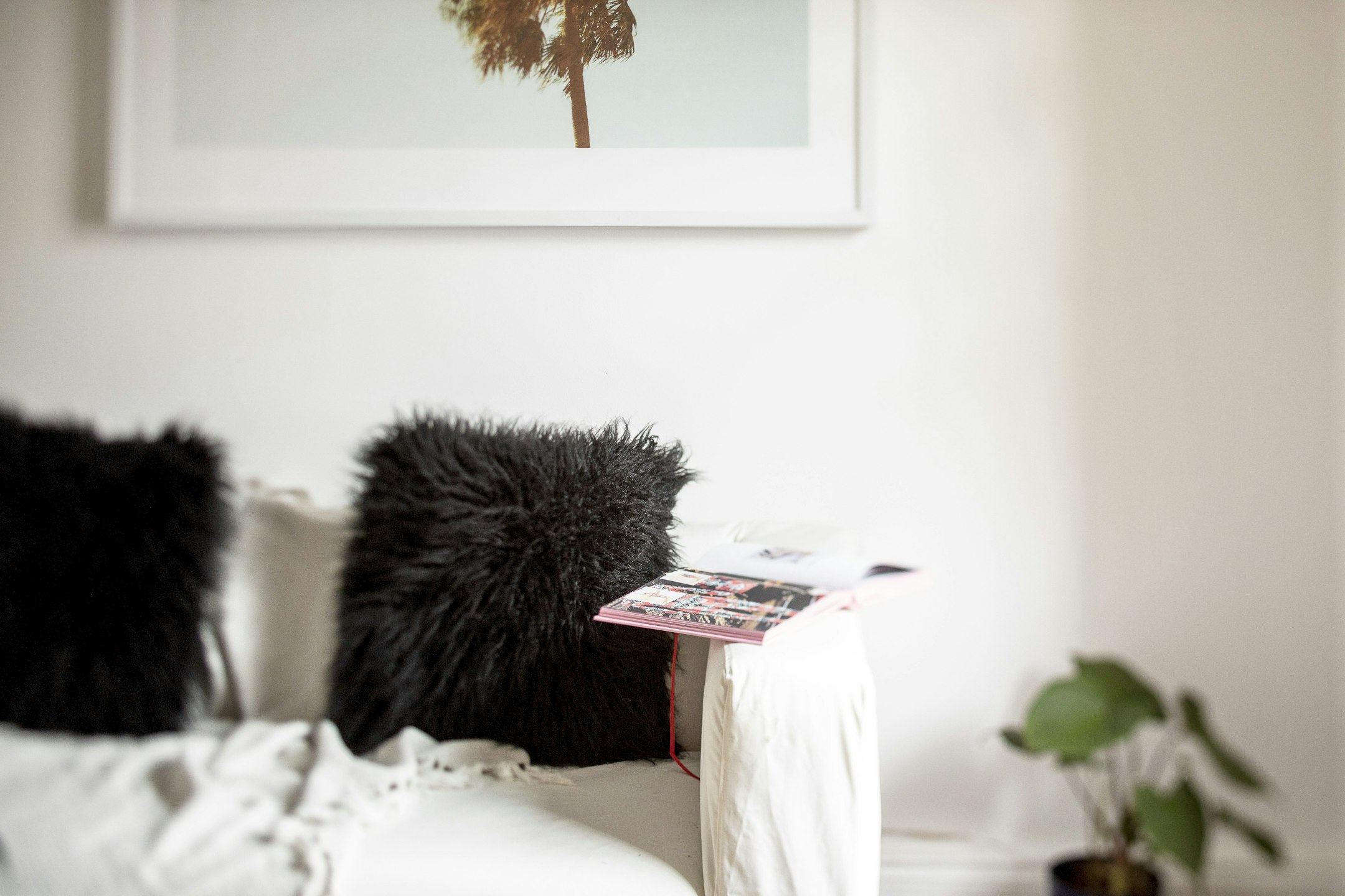 cushion