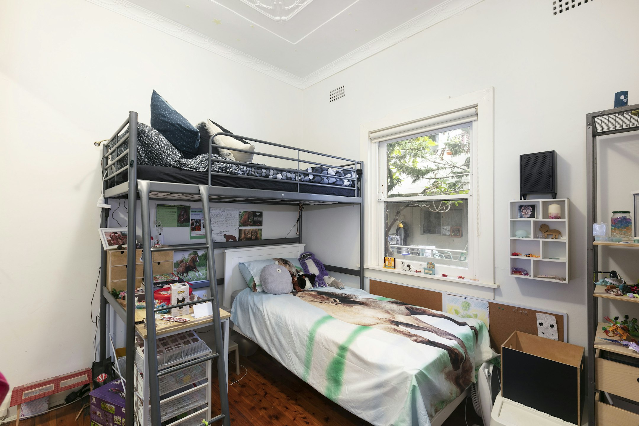 bed