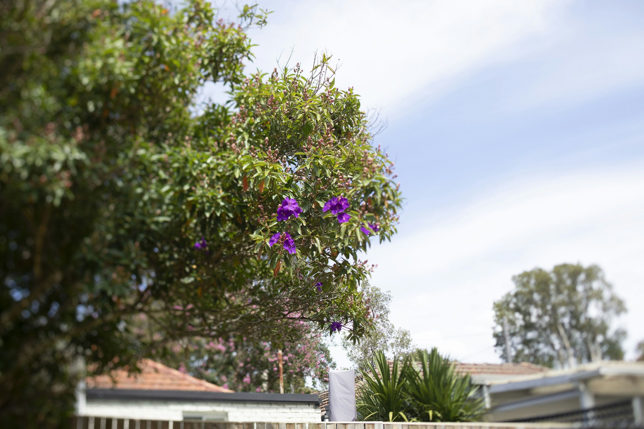 arbour