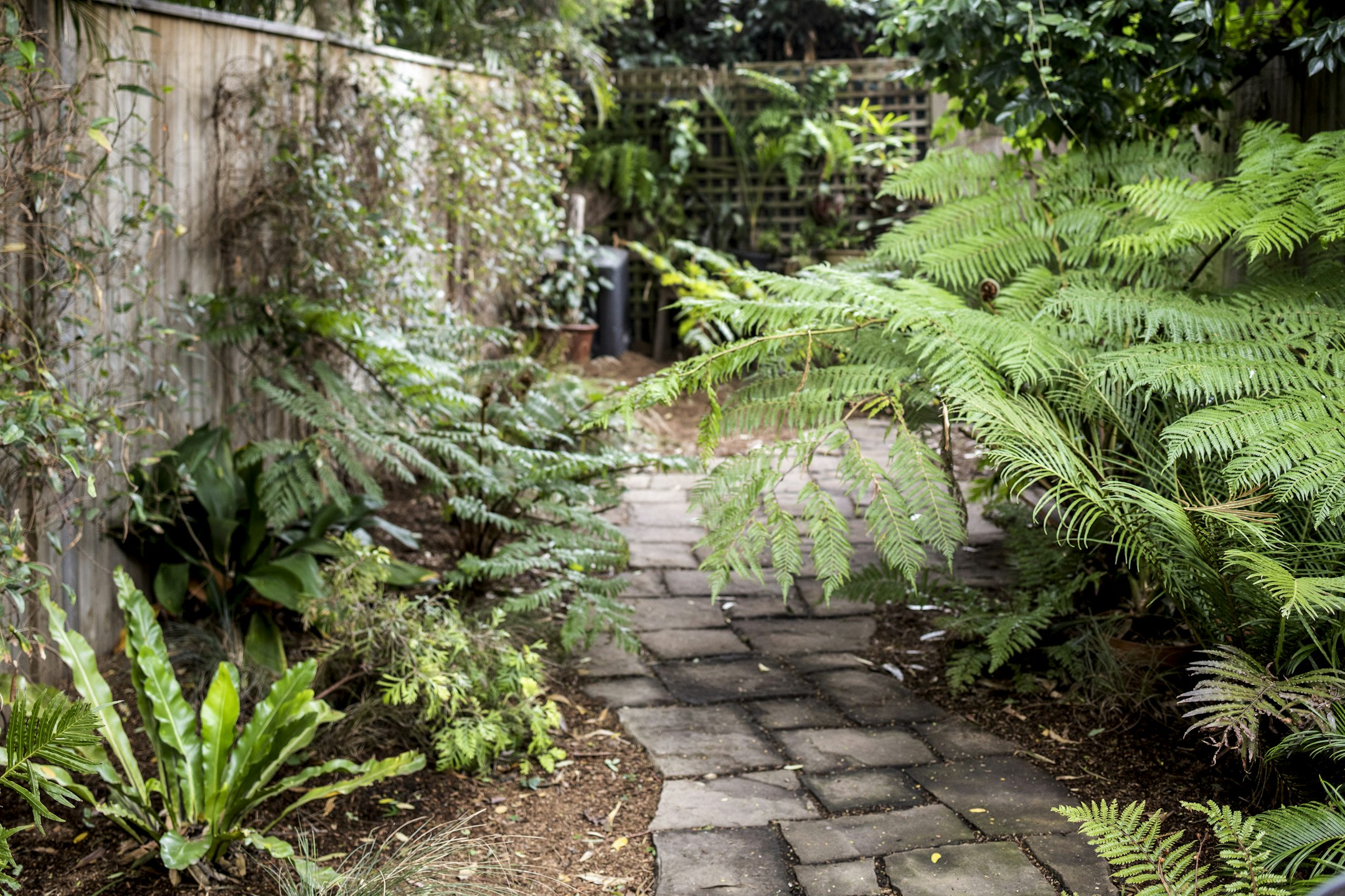 path