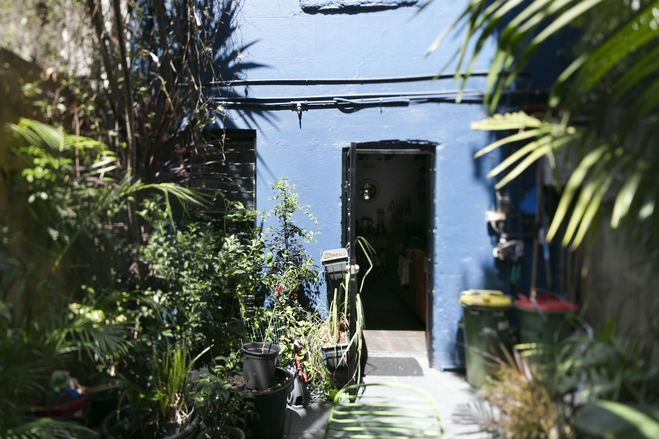 garden