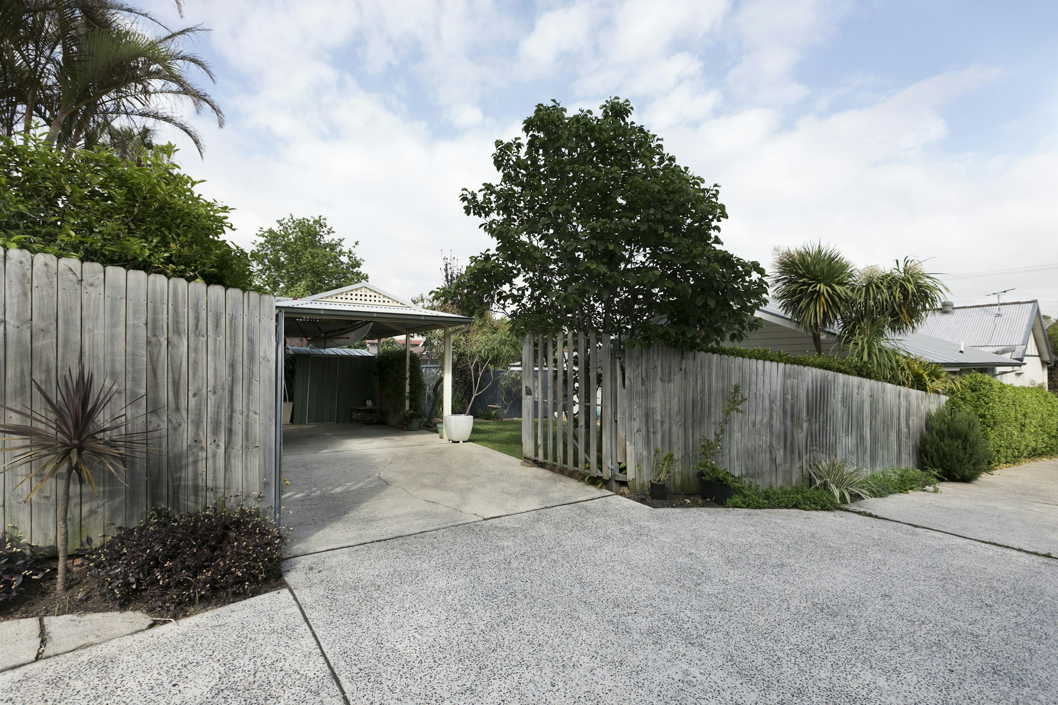 garden