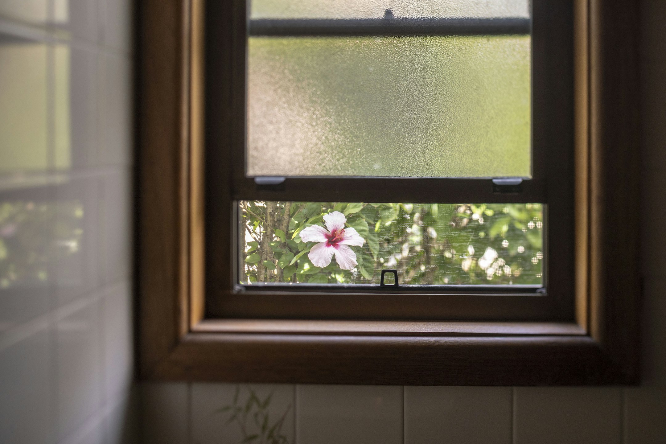 window