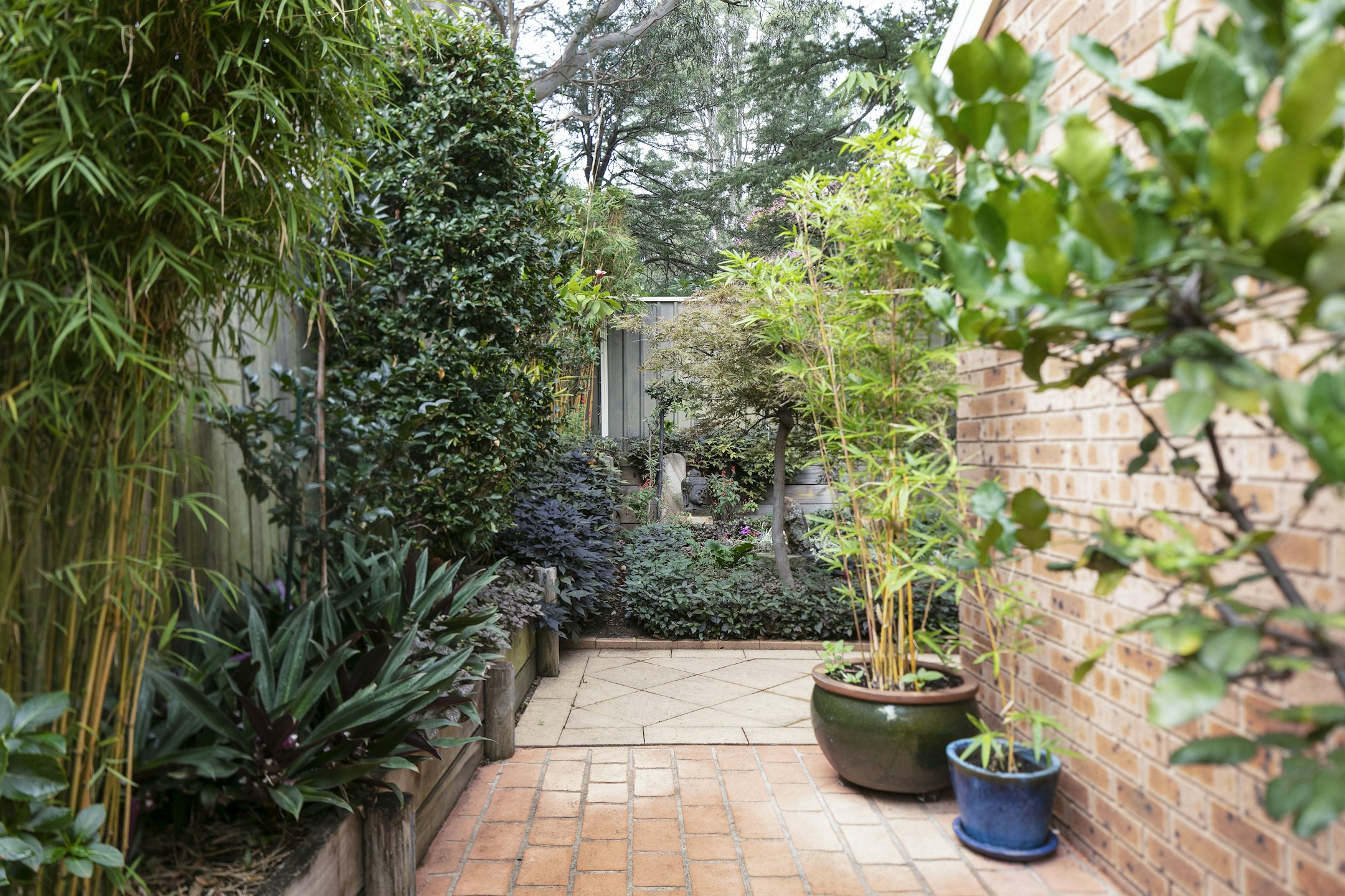 garden