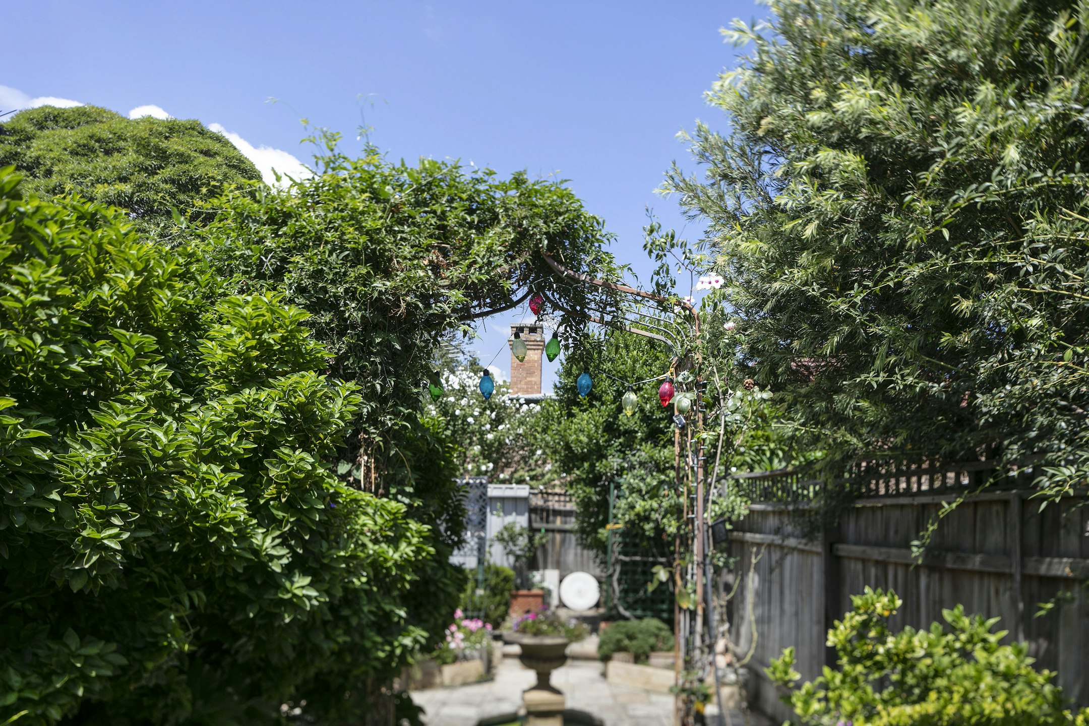 garden