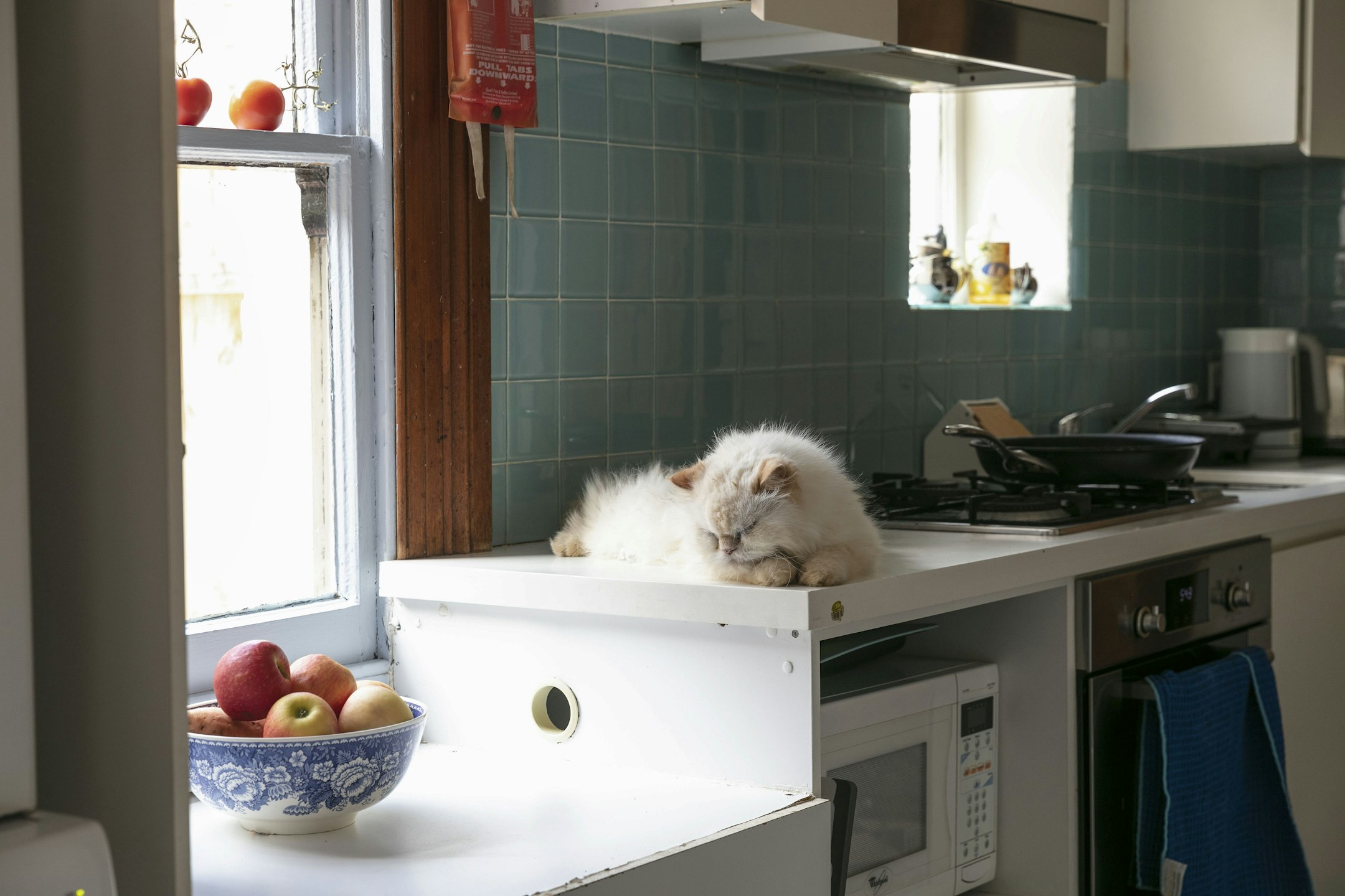 microwave