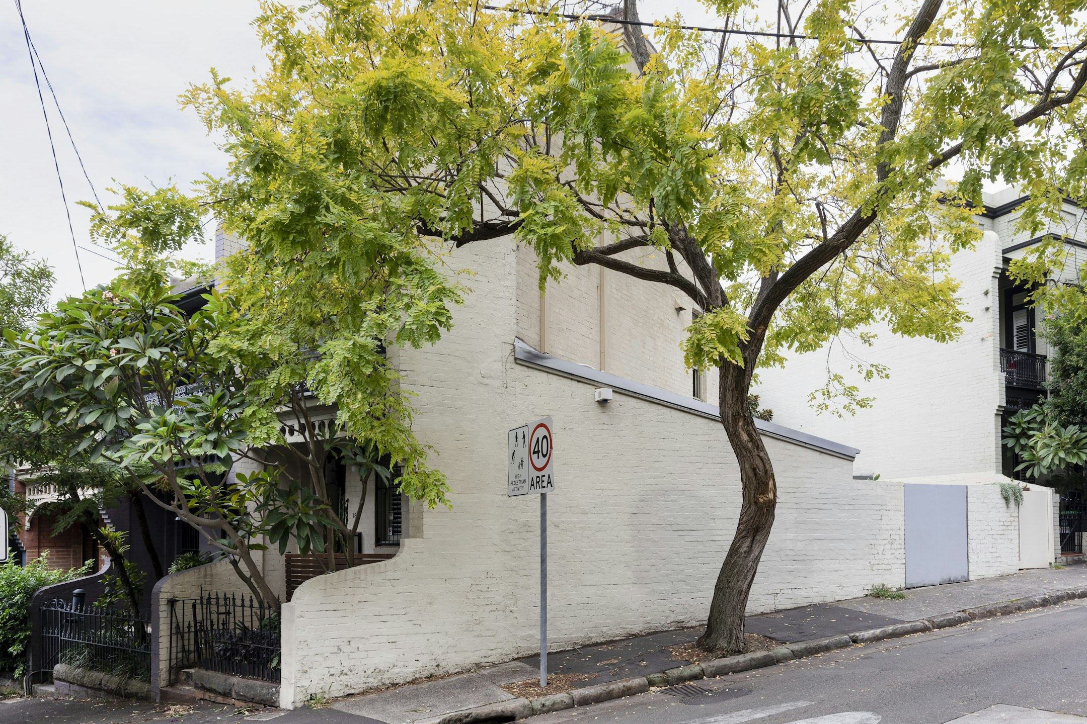 tree
