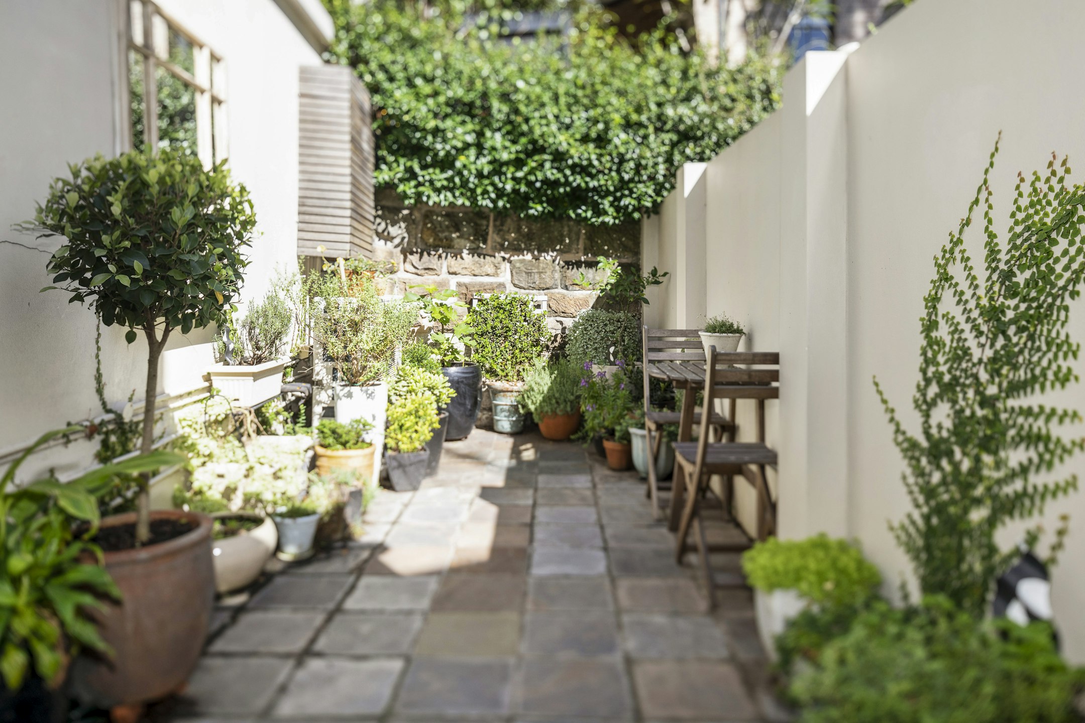 garden