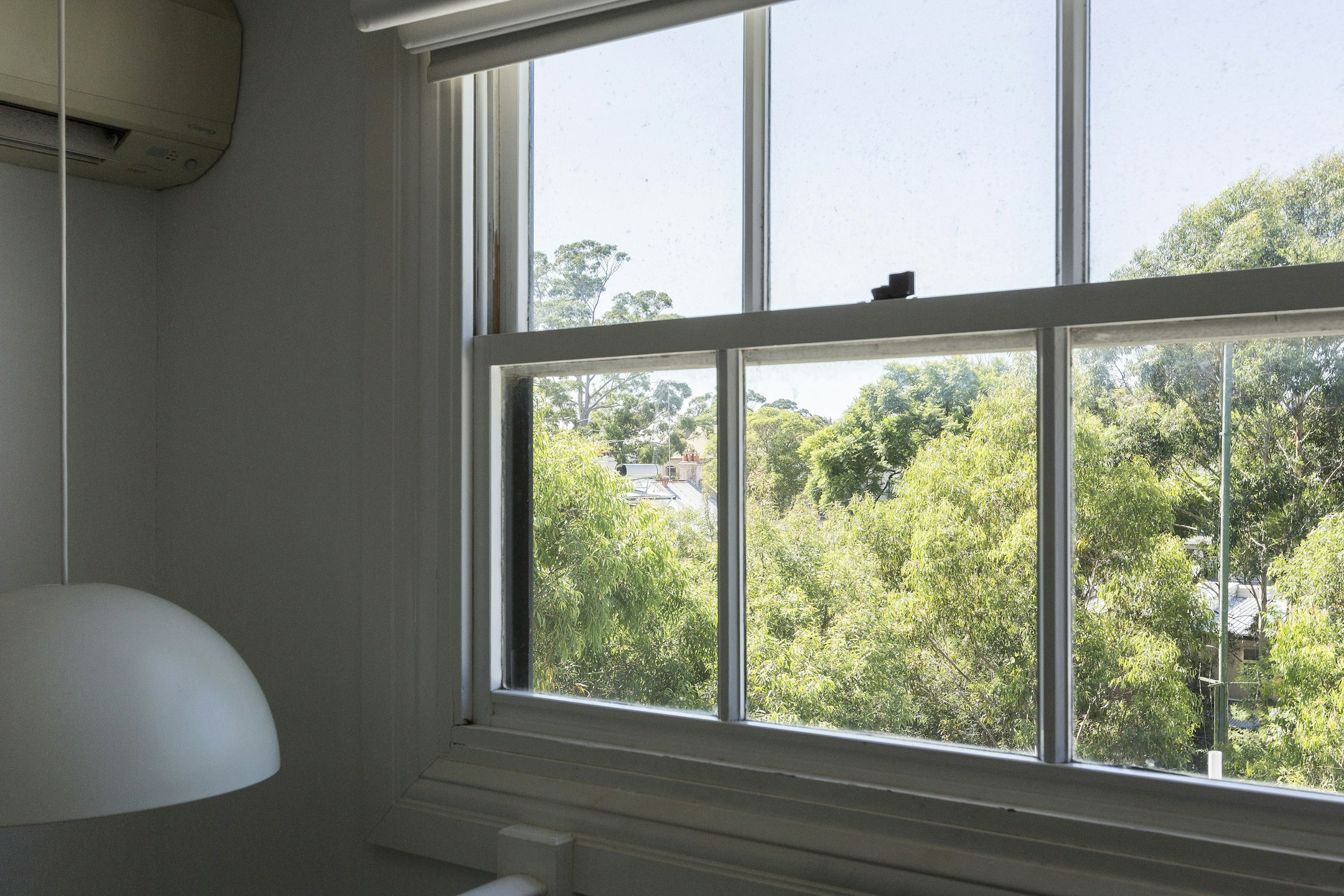 window