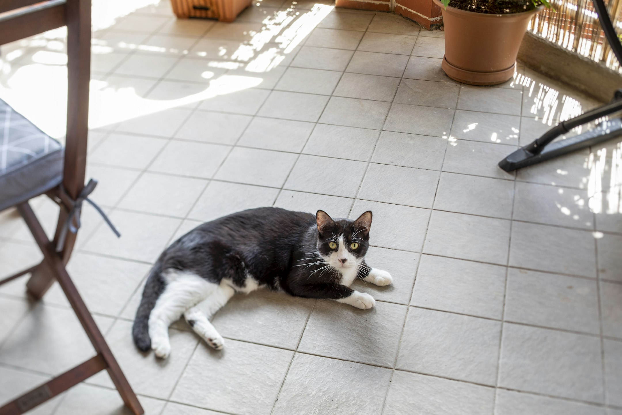 floor