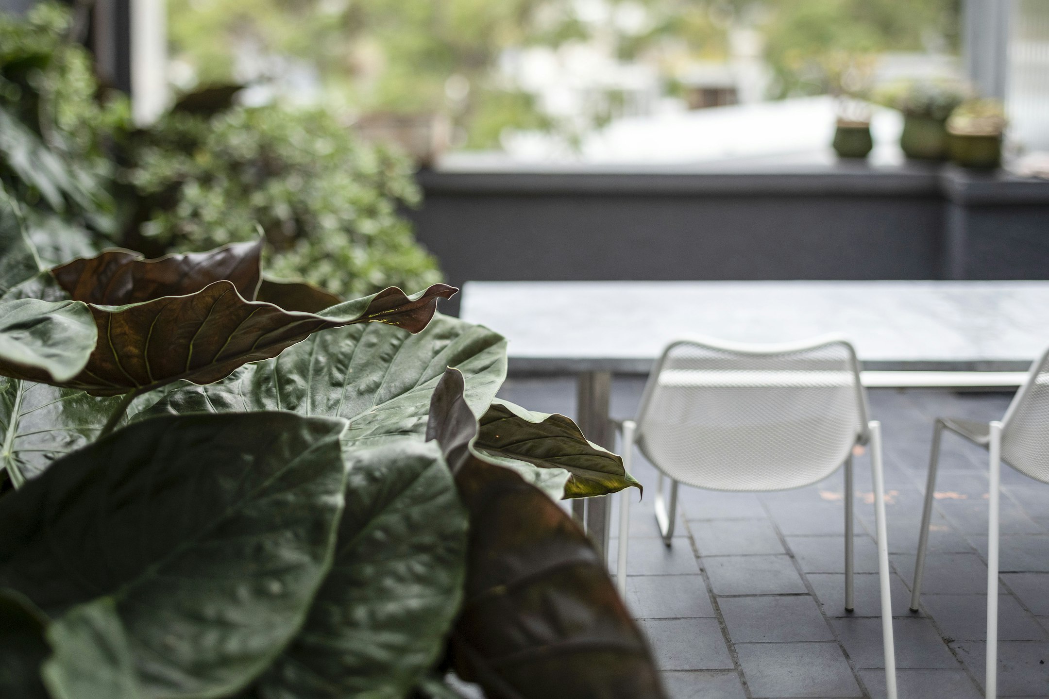chair