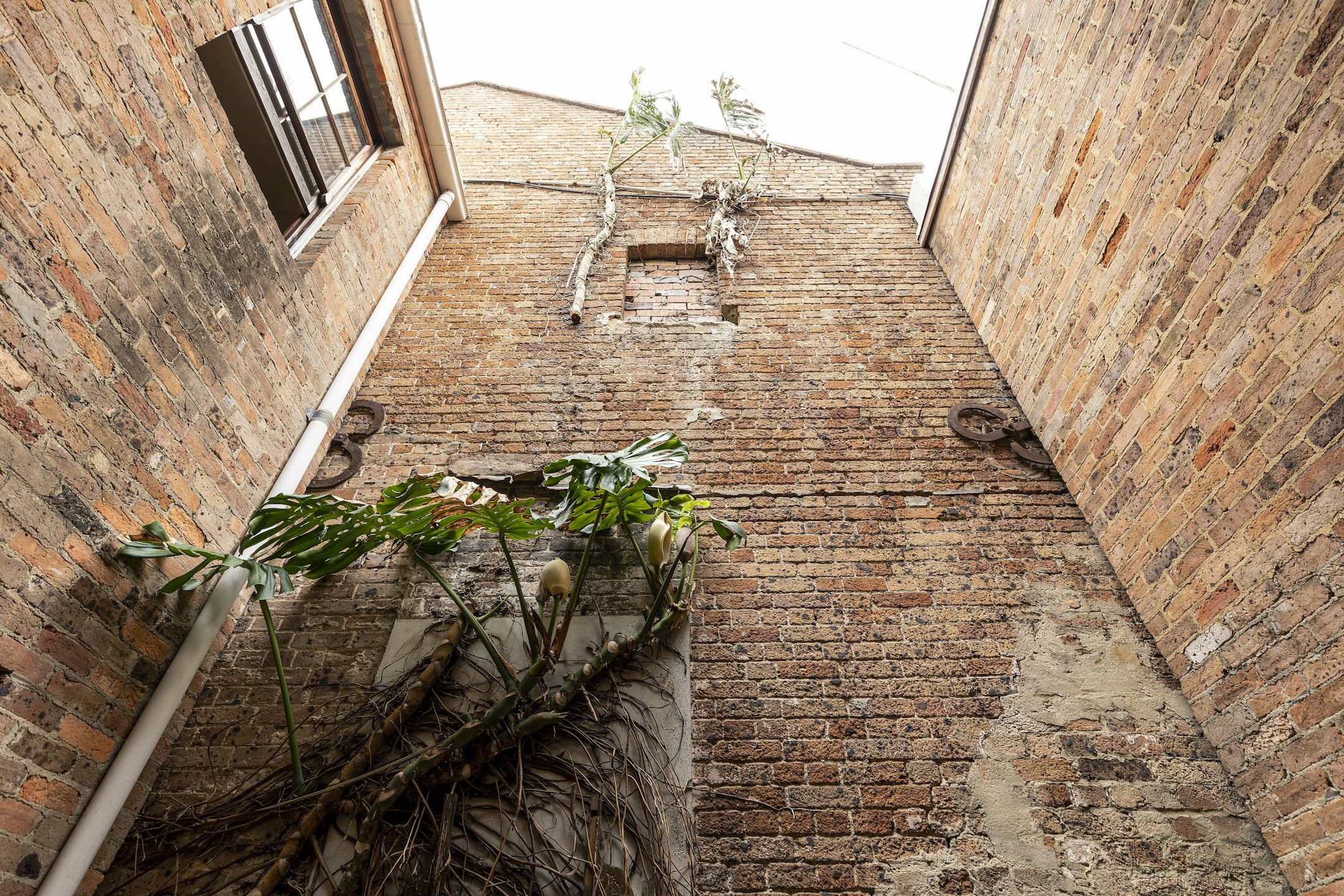 brick