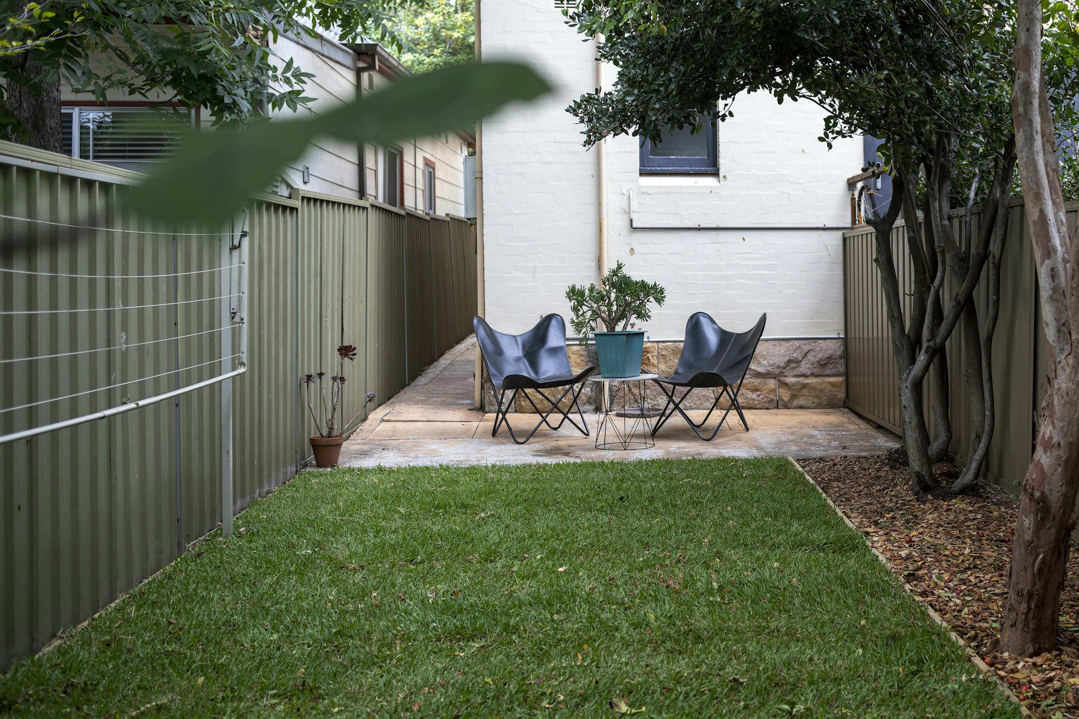 backyard