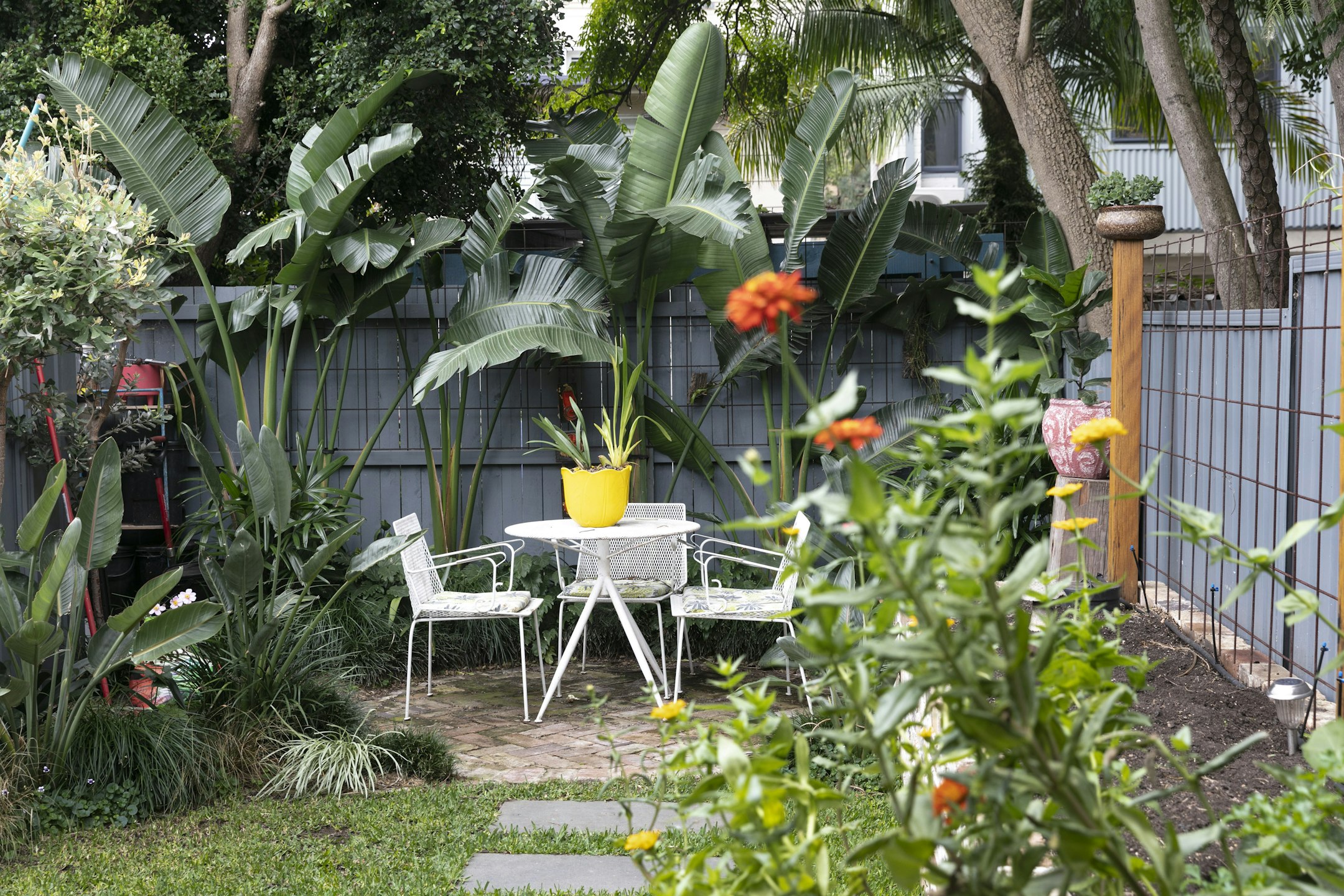 backyard