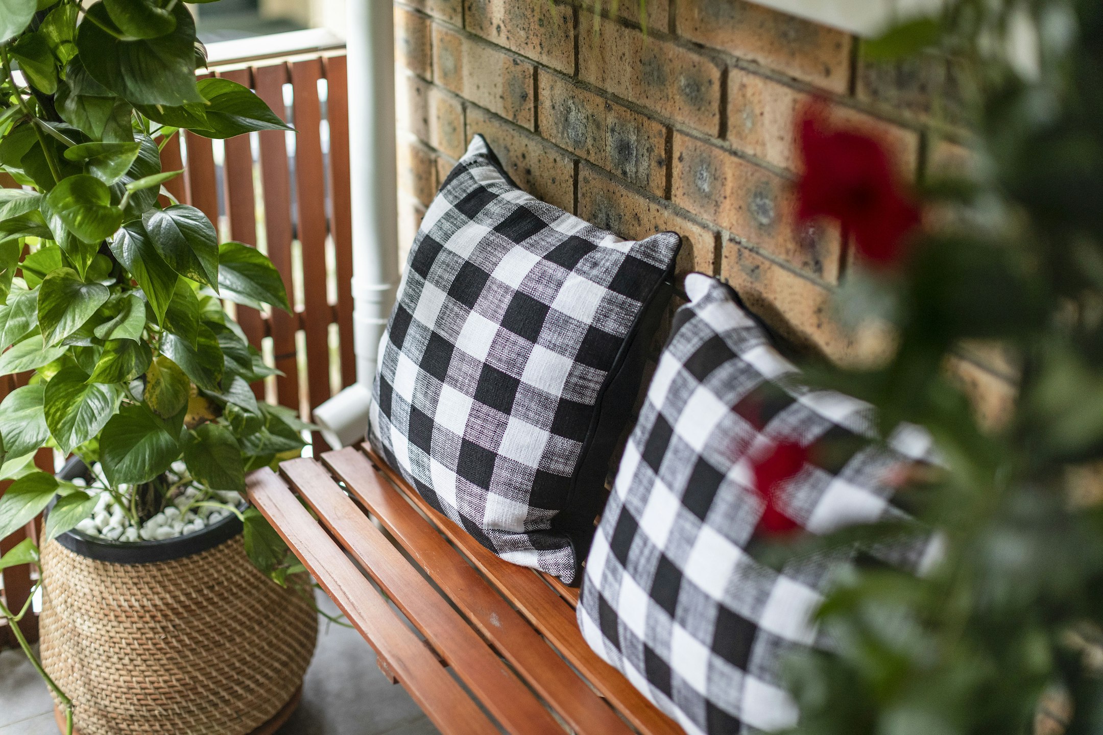 cushion