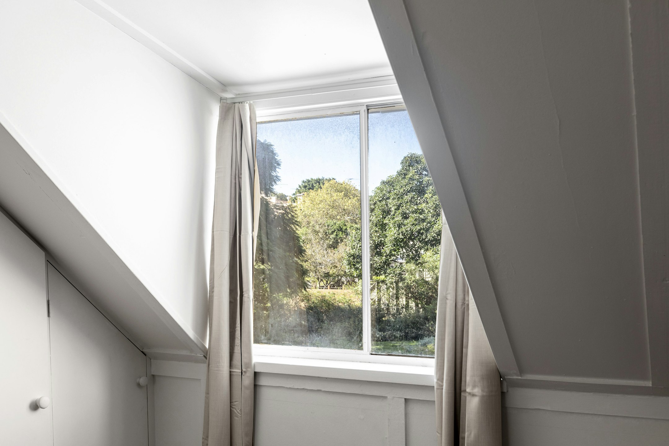 window
