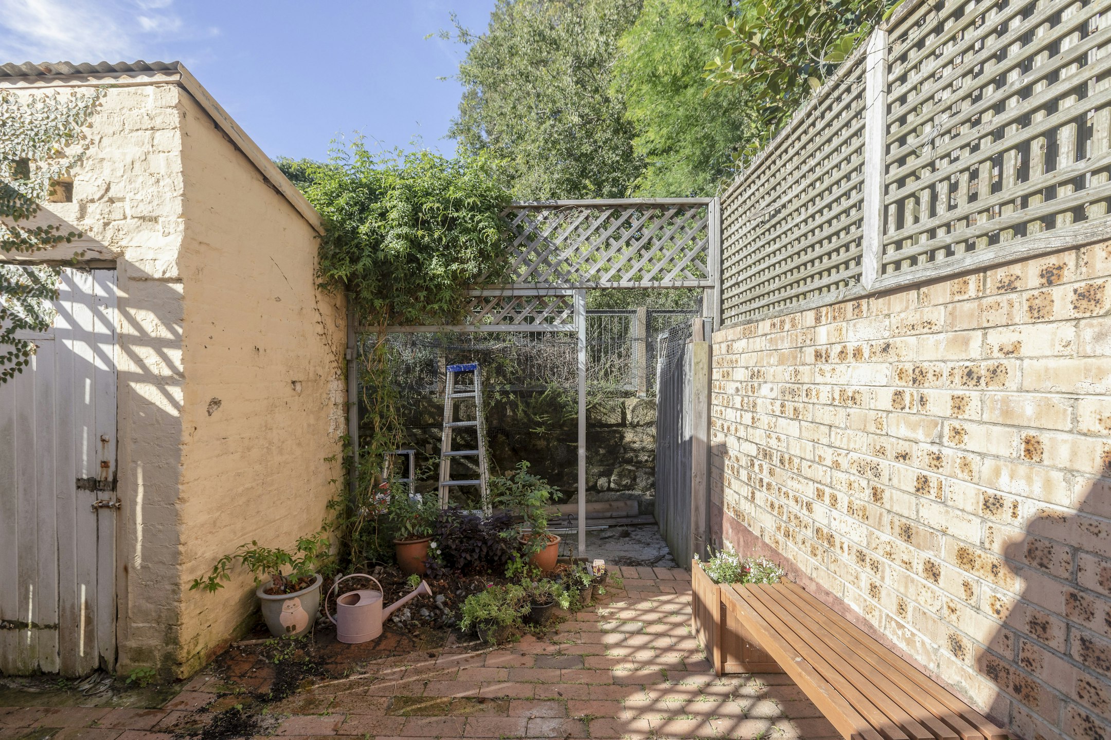 garden
