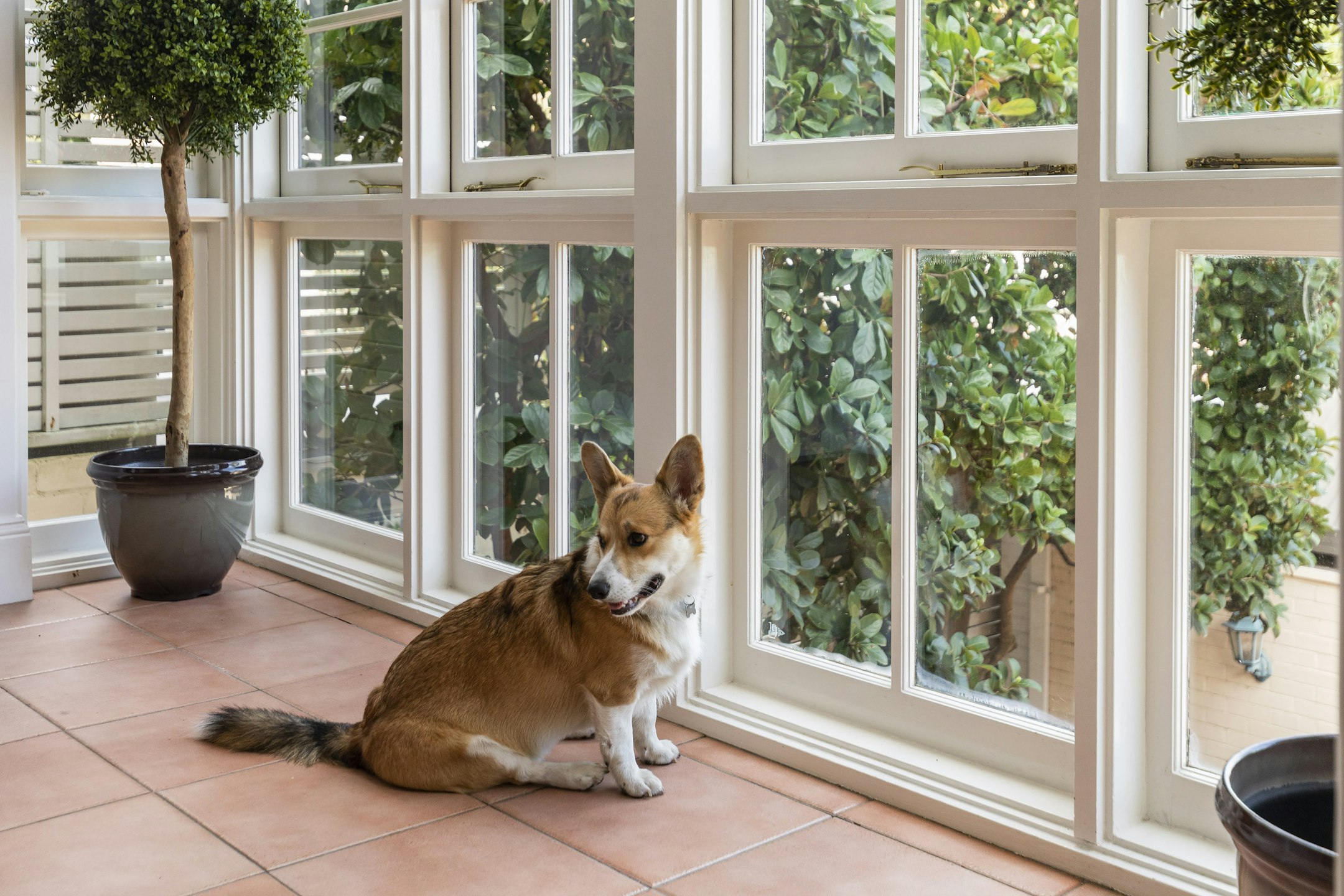 window