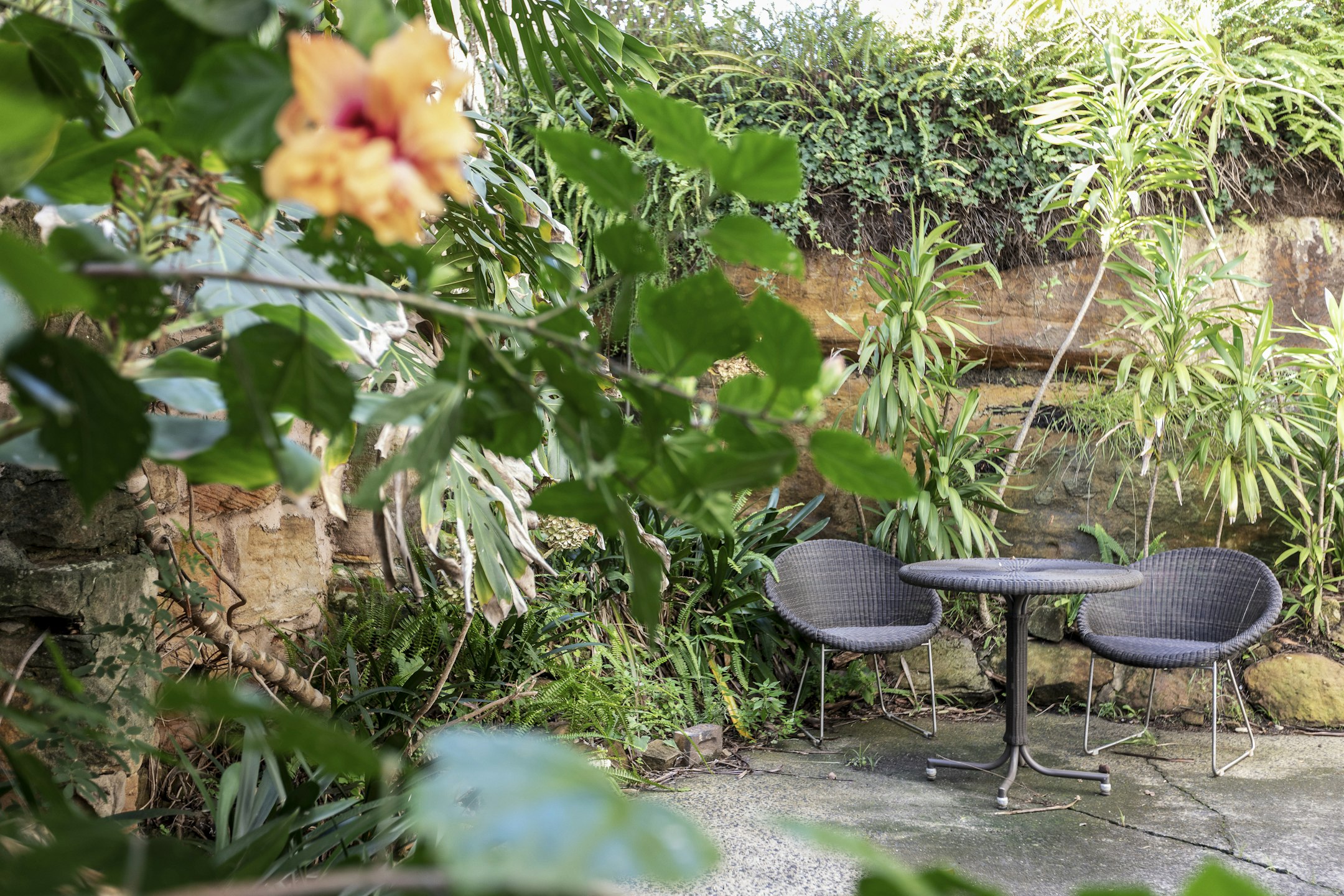 garden