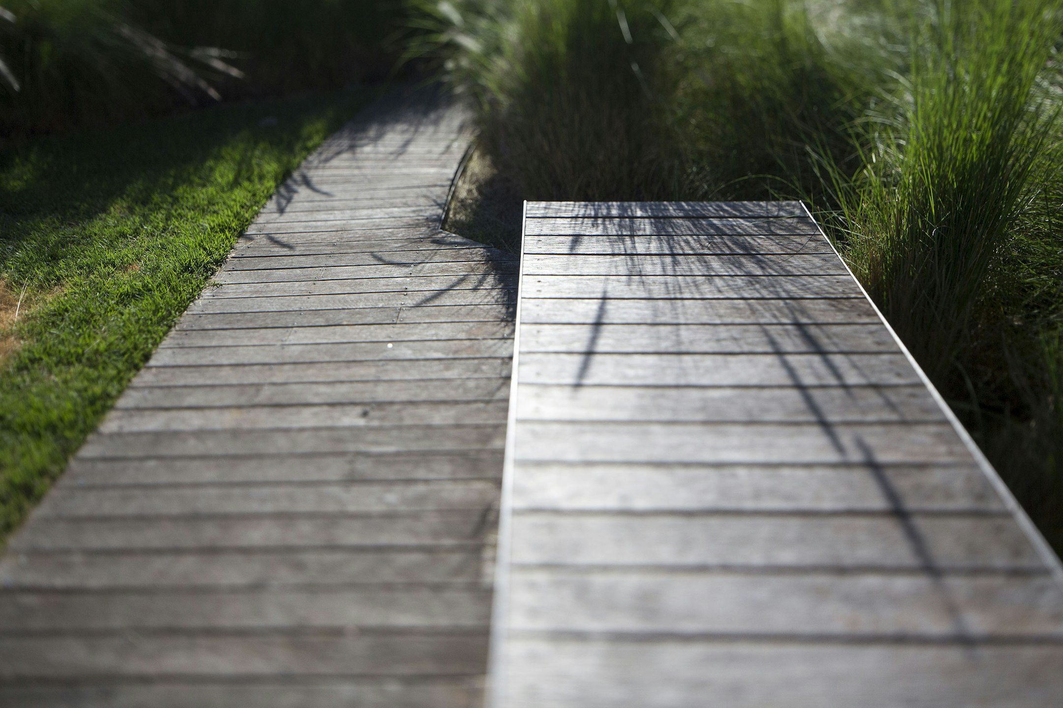 boardwalk