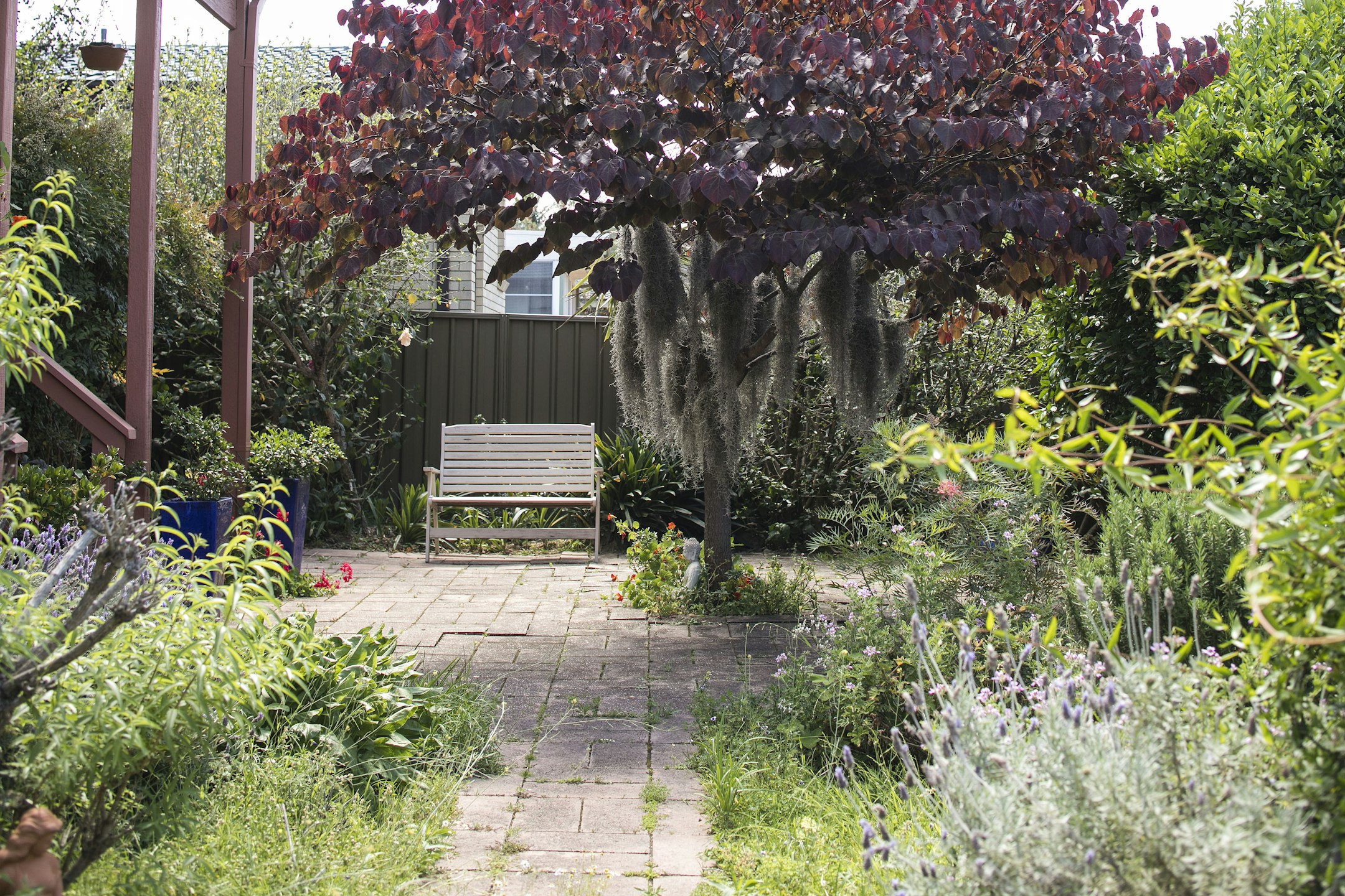 garden
