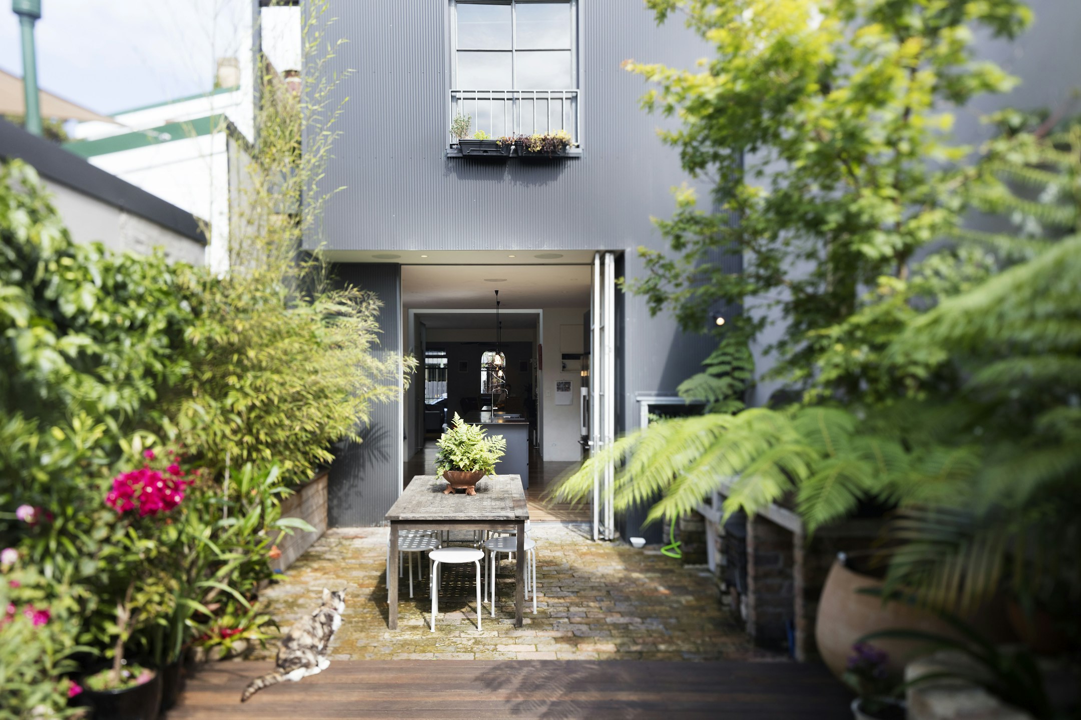 garden