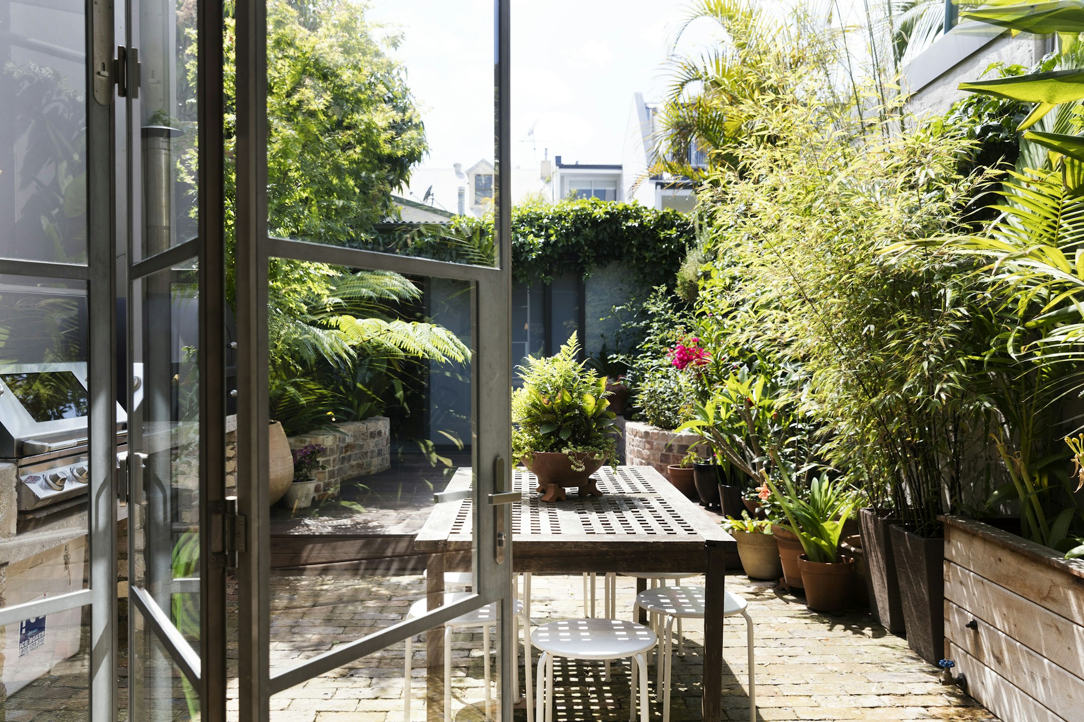 garden