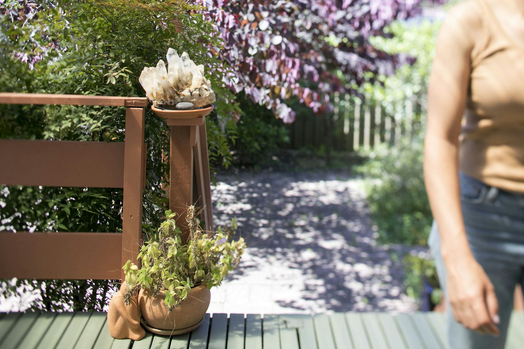 garden
