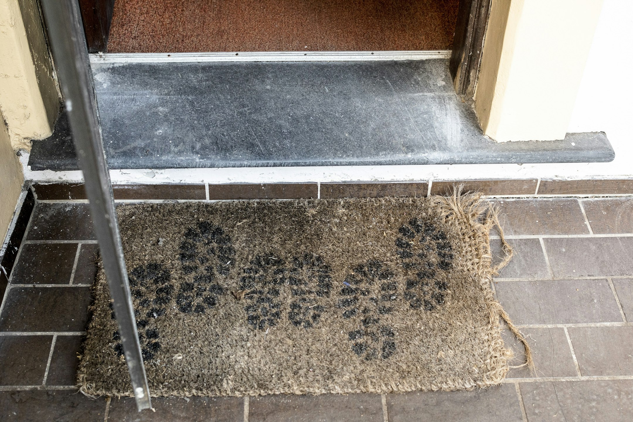 mat