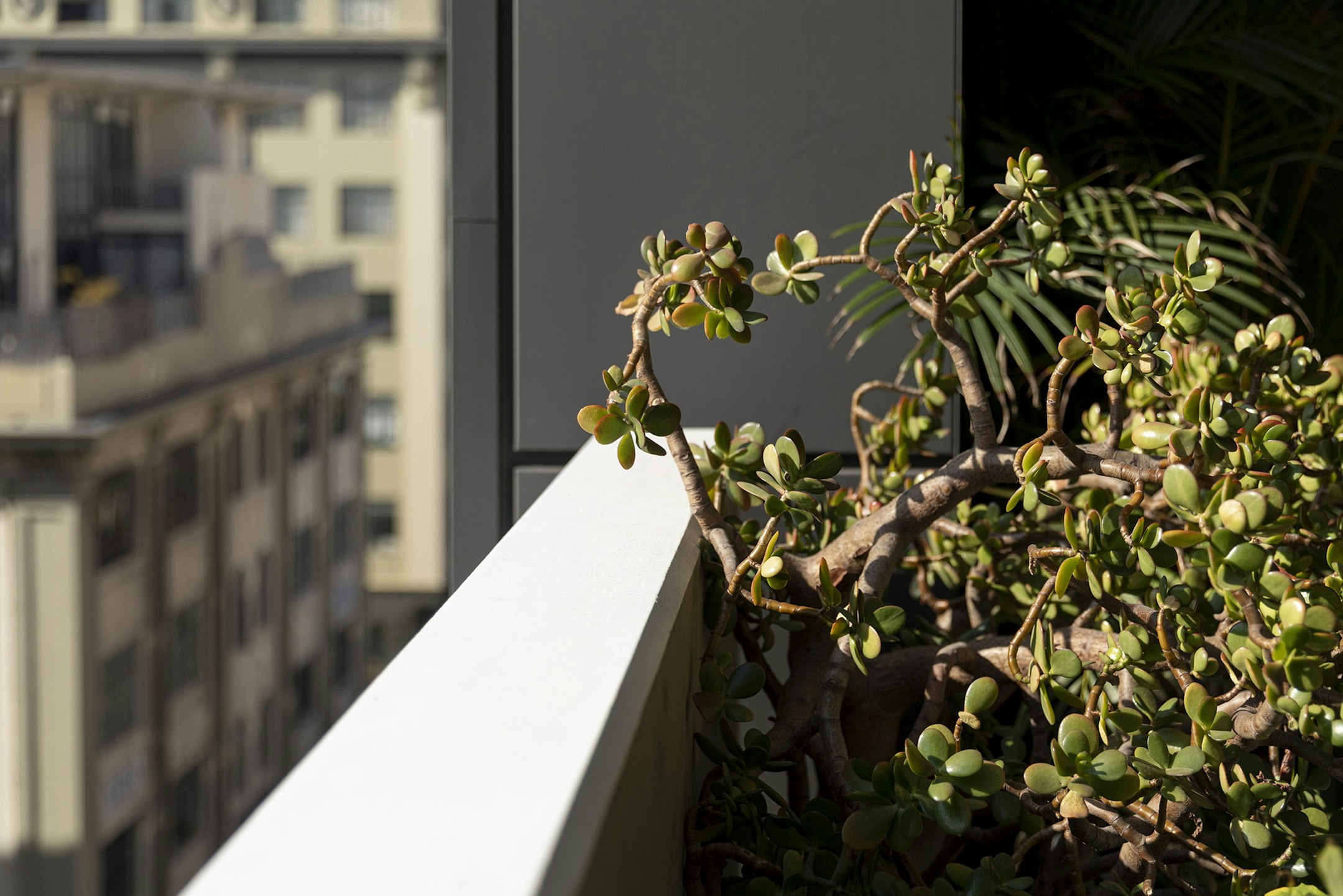 handrail