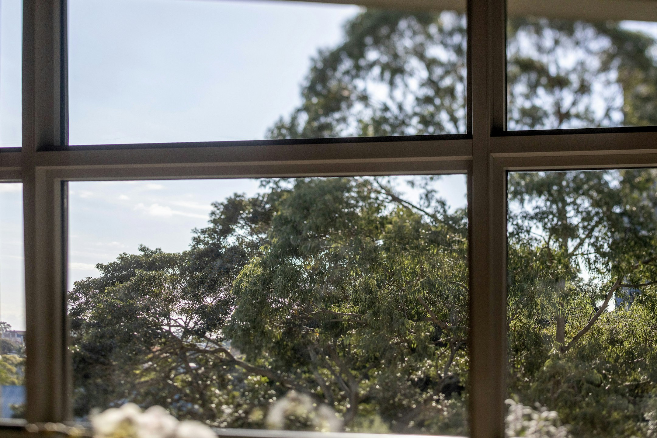 window