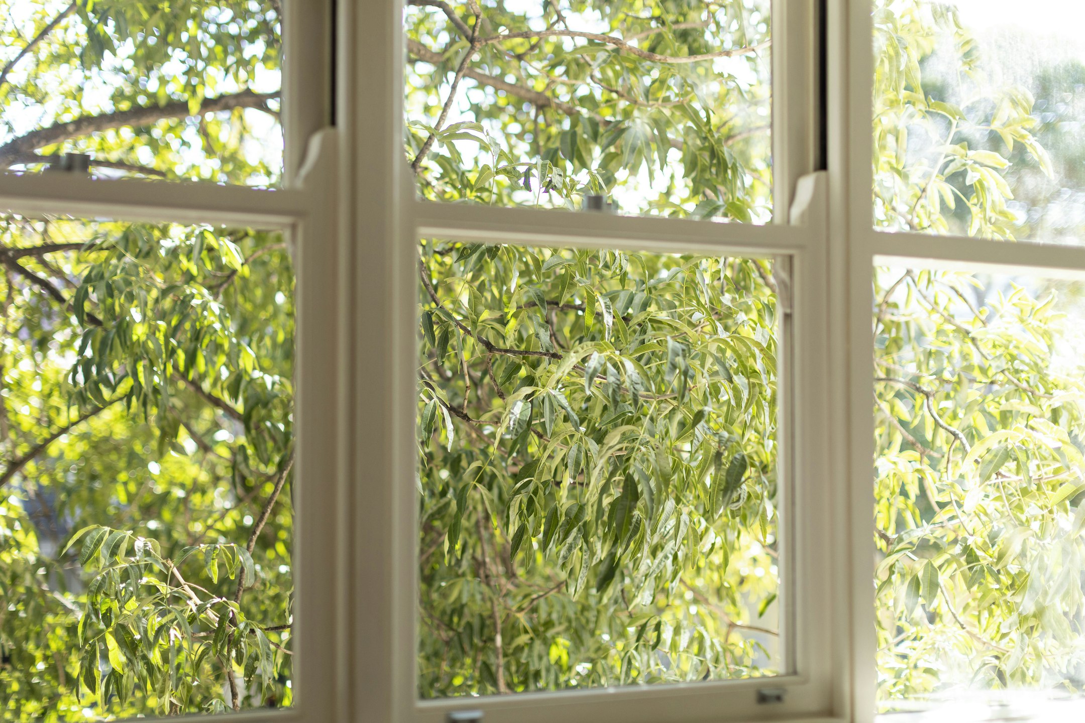 window