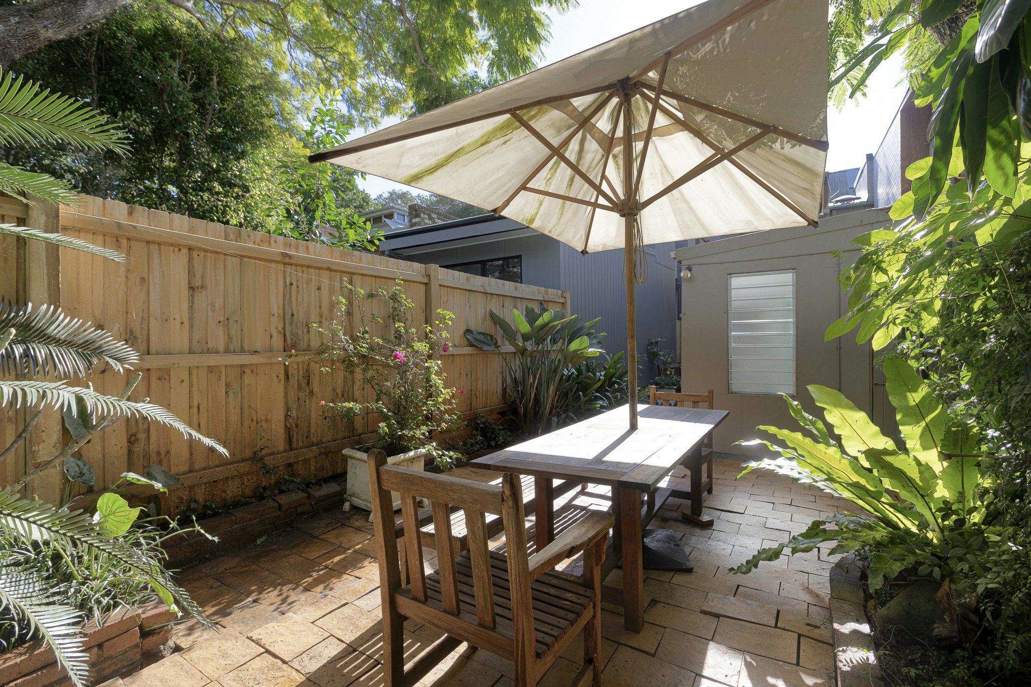 backyard
