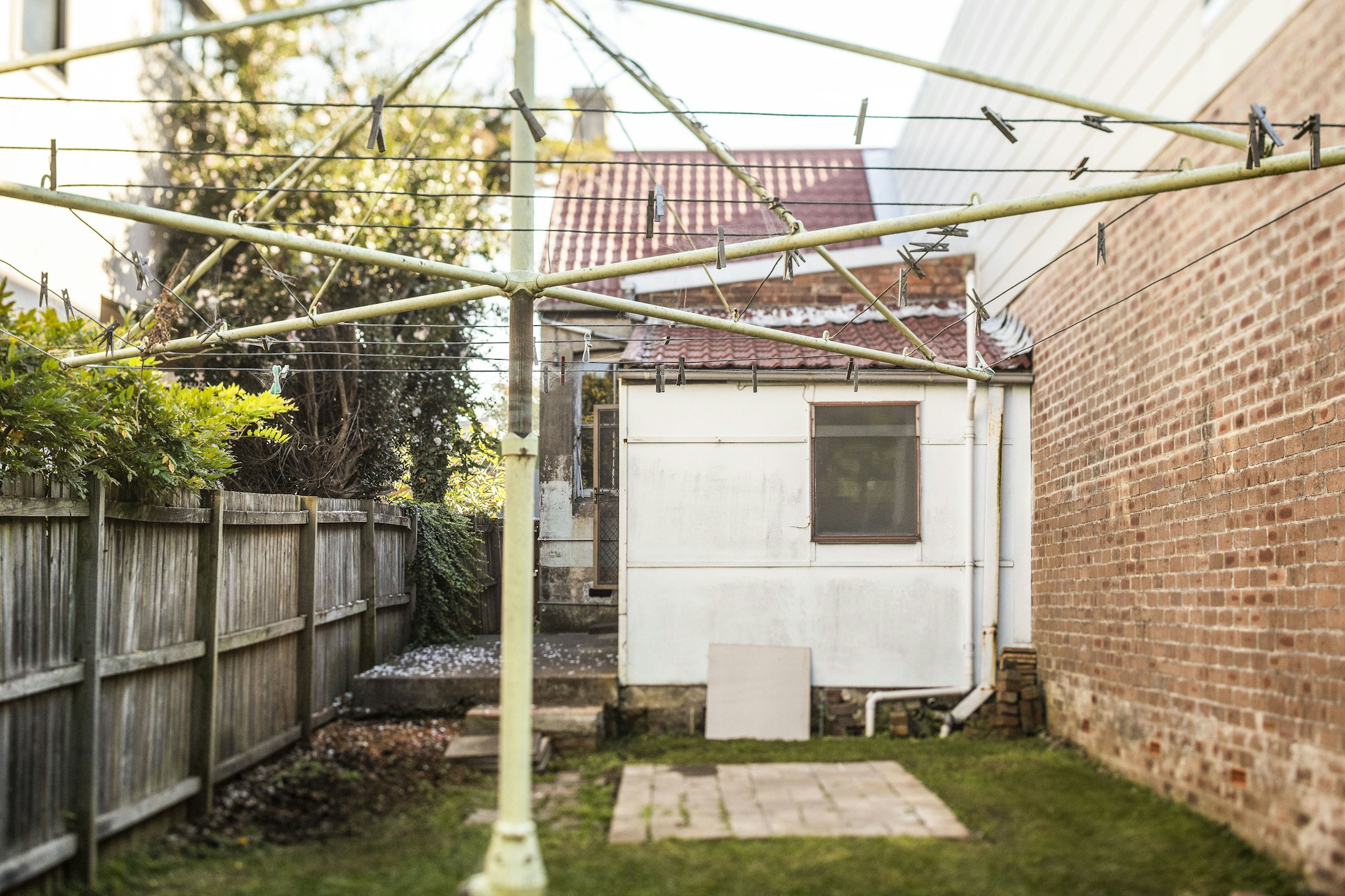 backyard