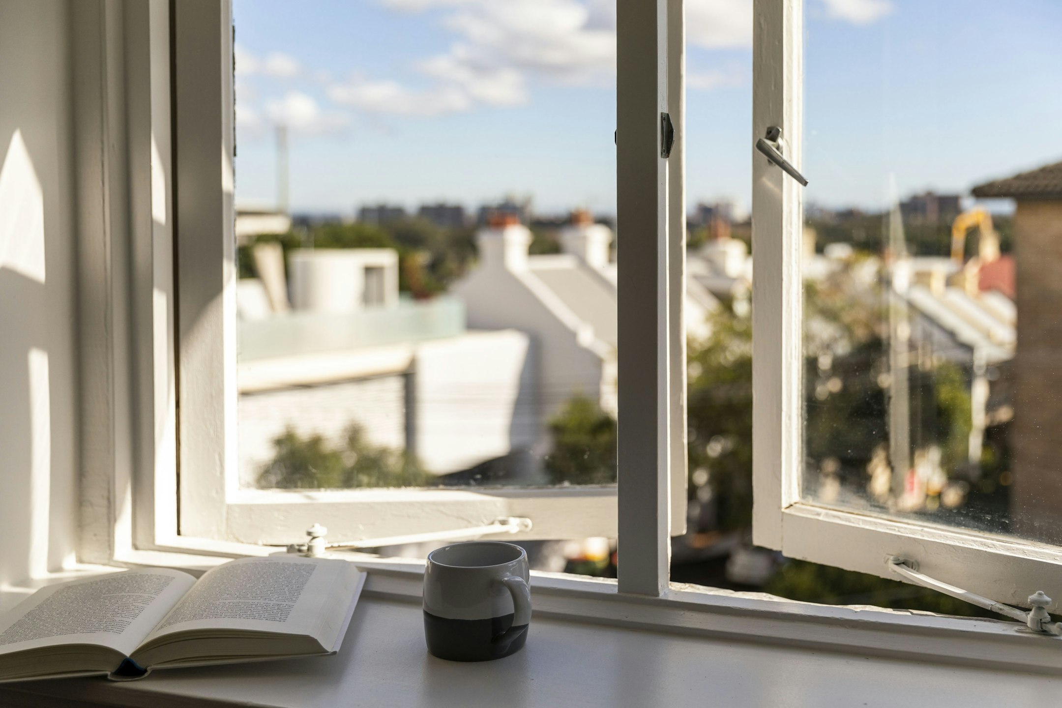 window