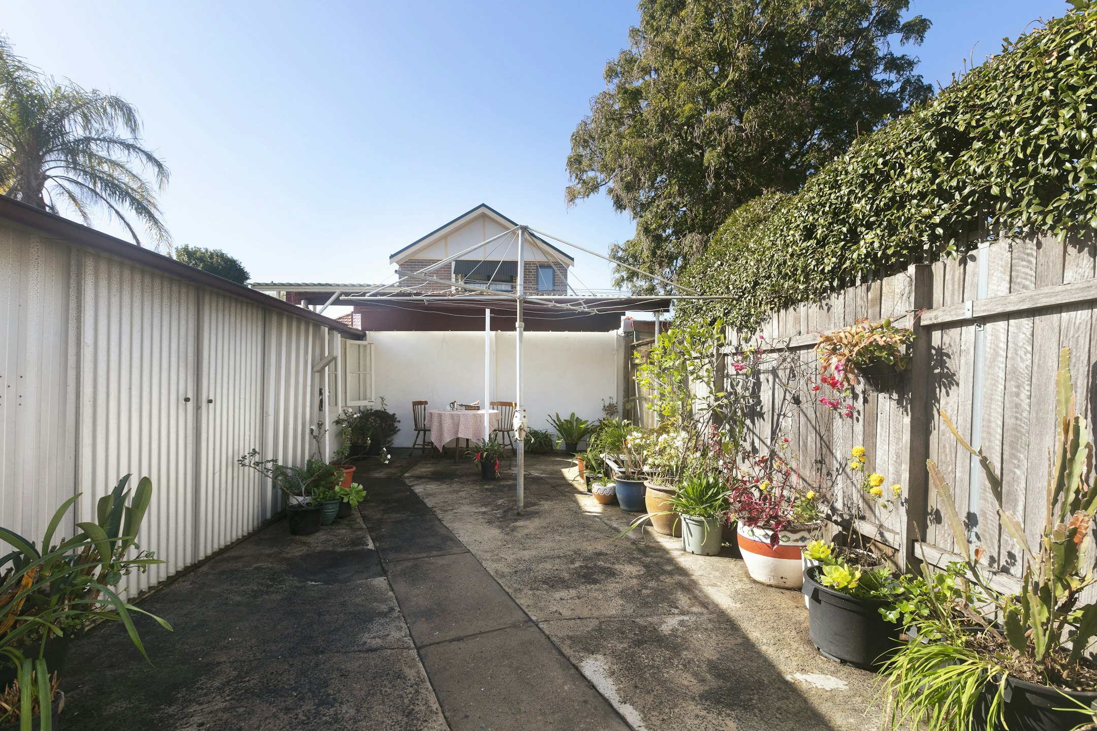 garden