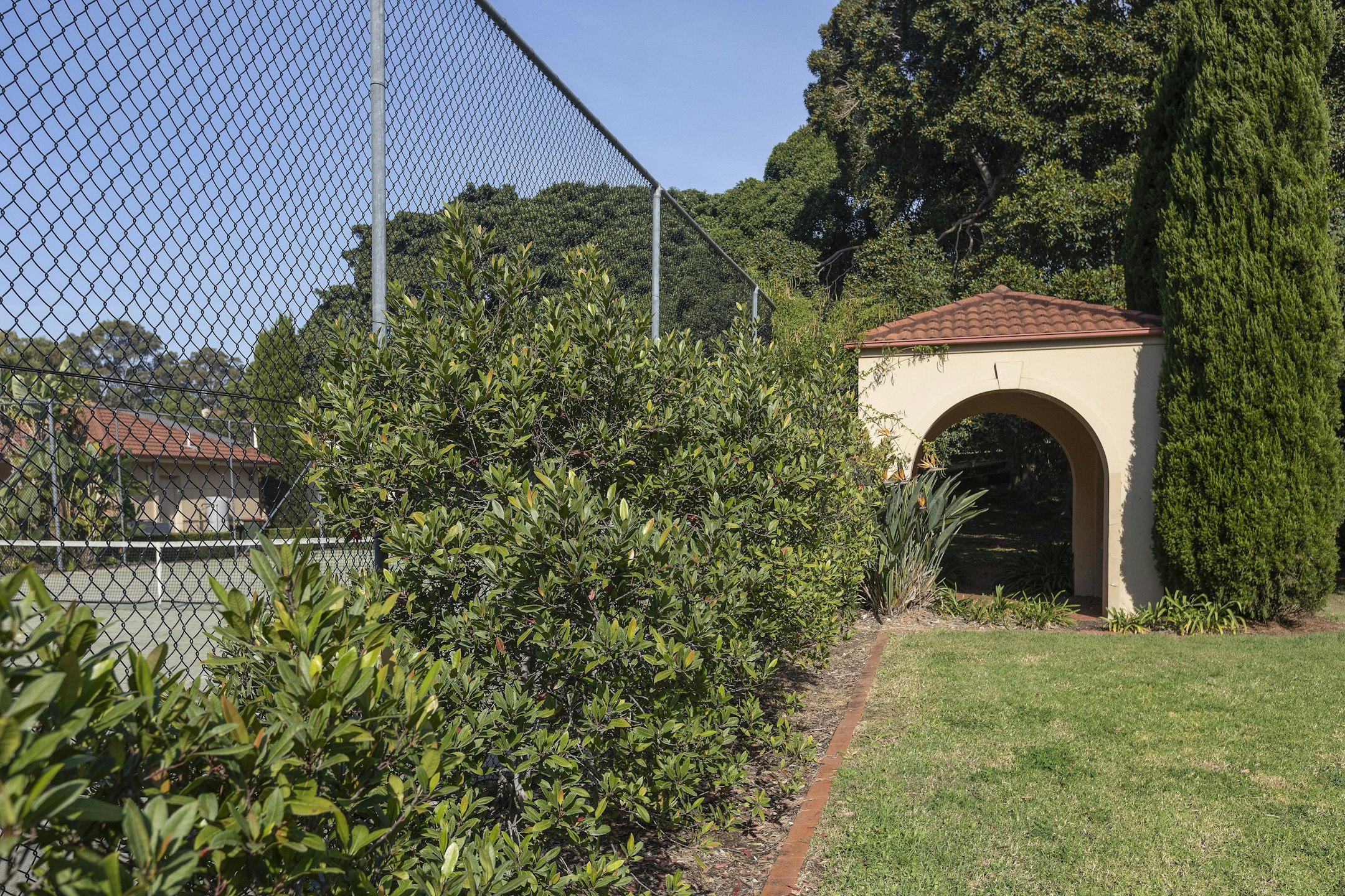 garden