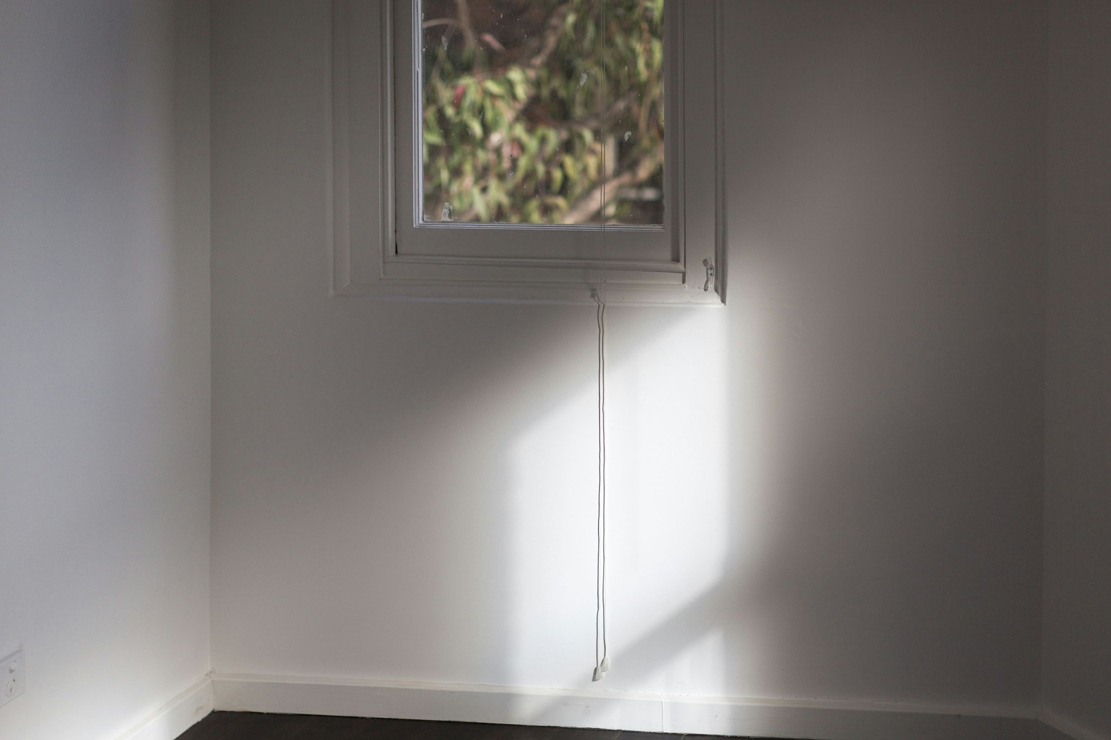 window