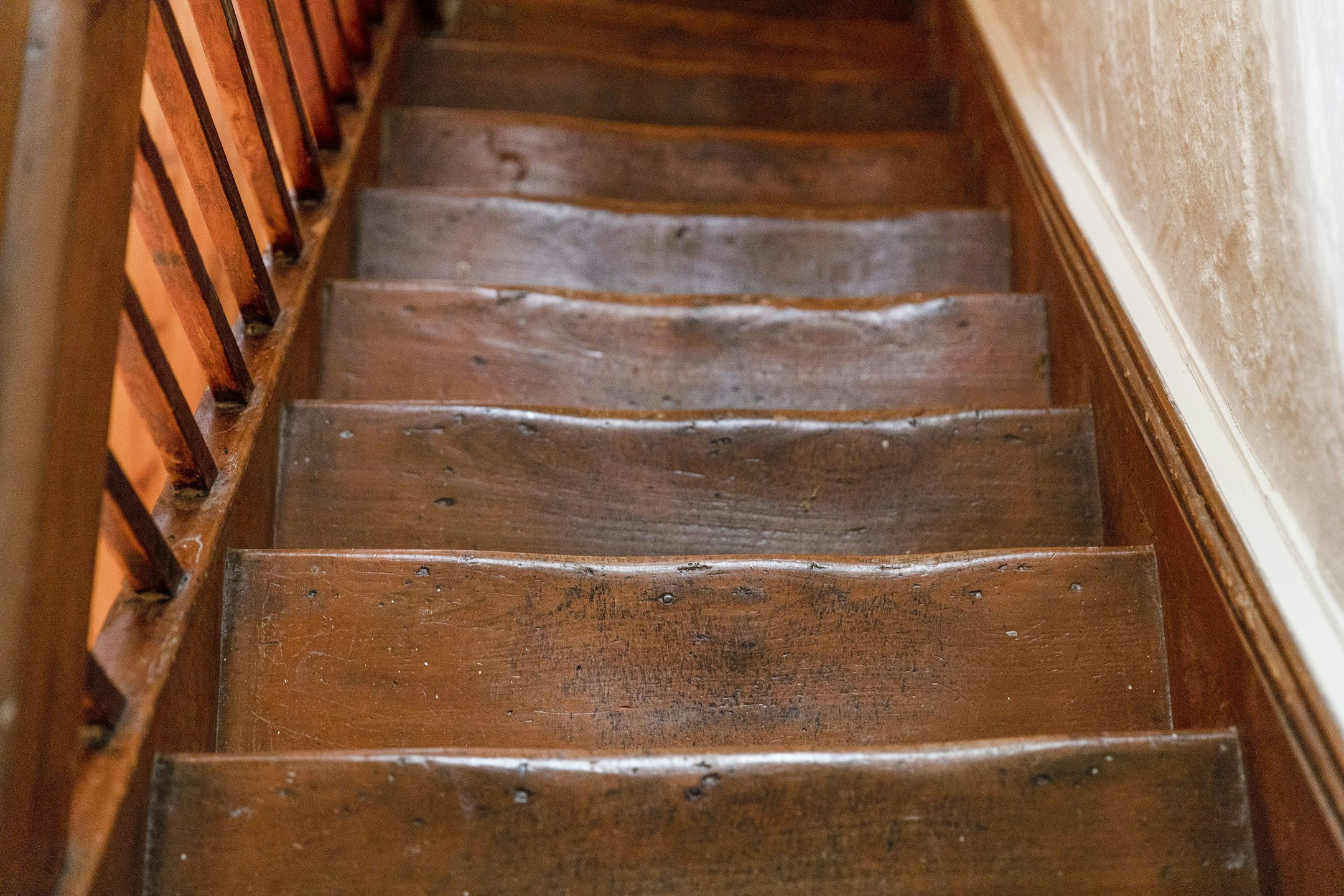hardwood