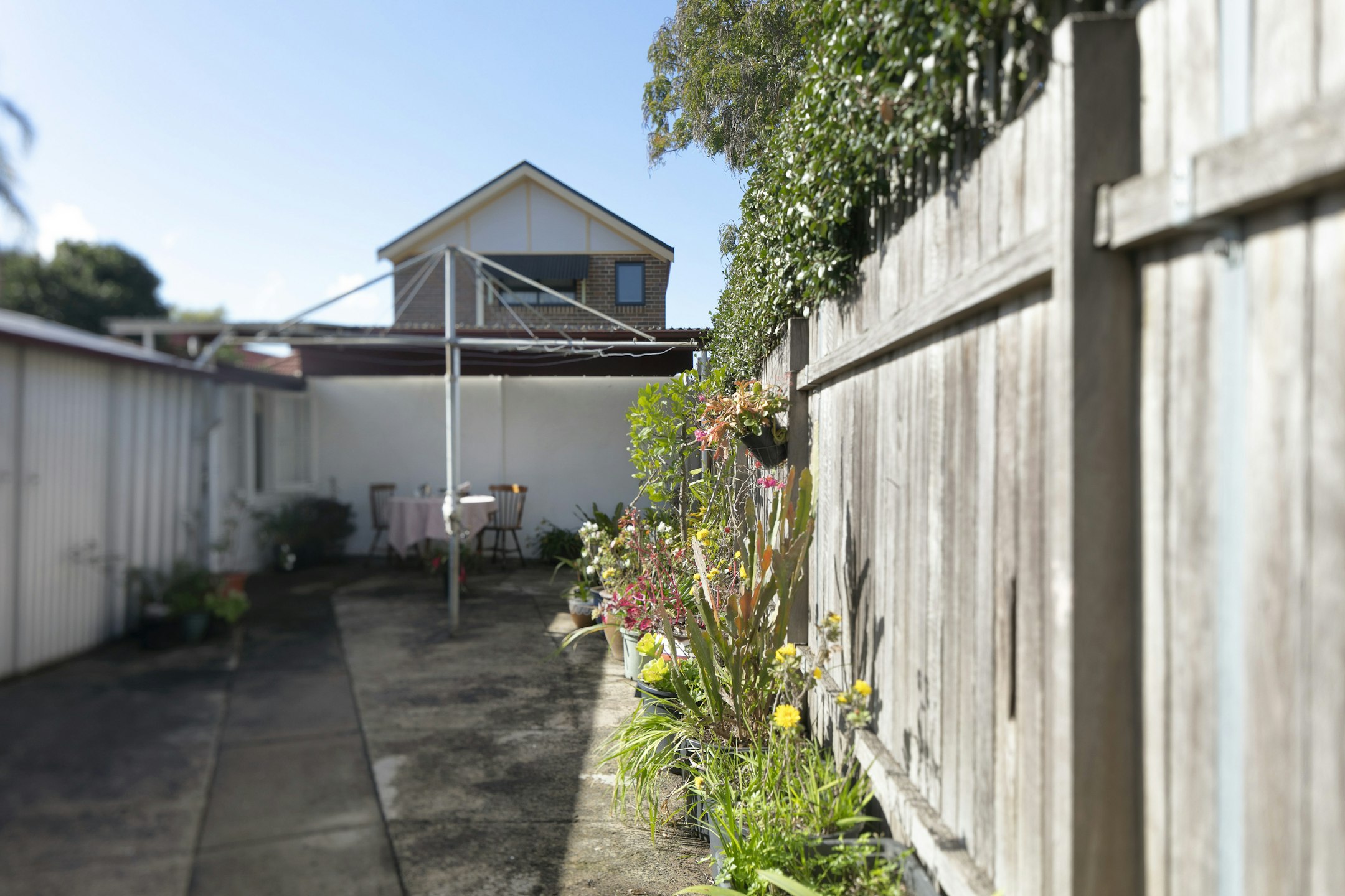 backyard